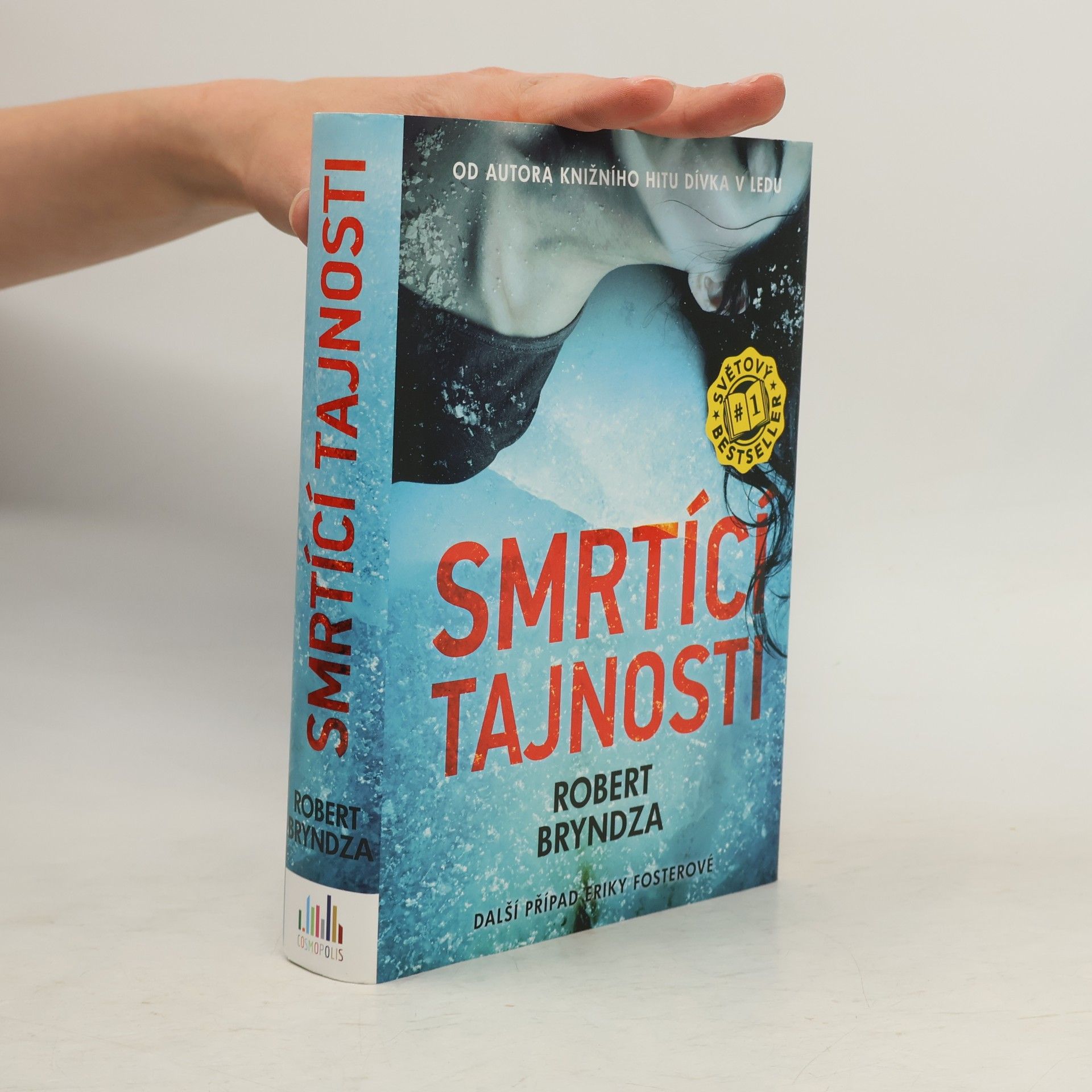 Robert Bryndza Smrtící tajnosti