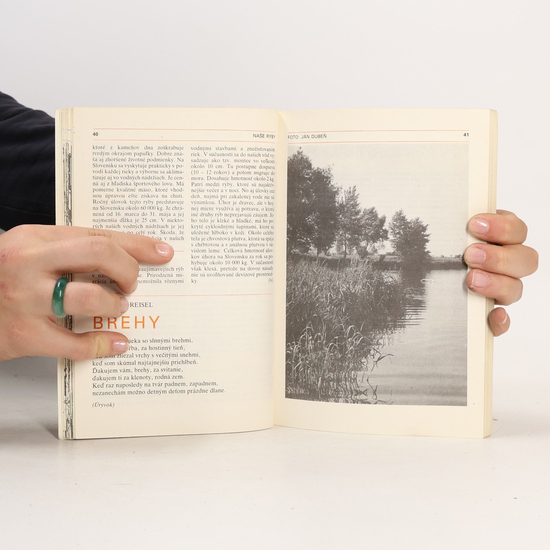 Kolektiv autorů Magazín rybára 1988