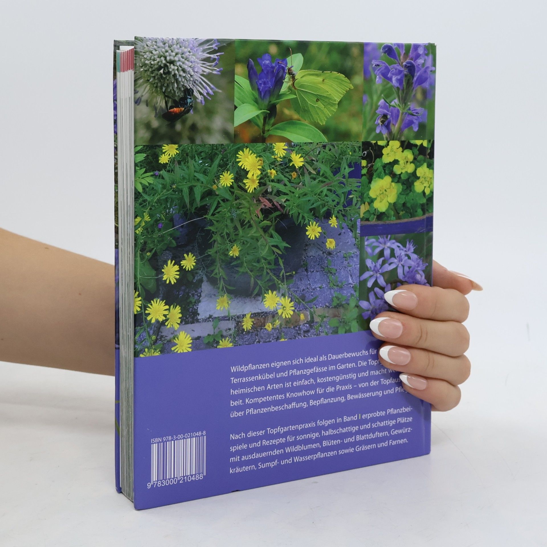 Reinhard Witt Das Wildpflanzen-Topfbuch. Band I