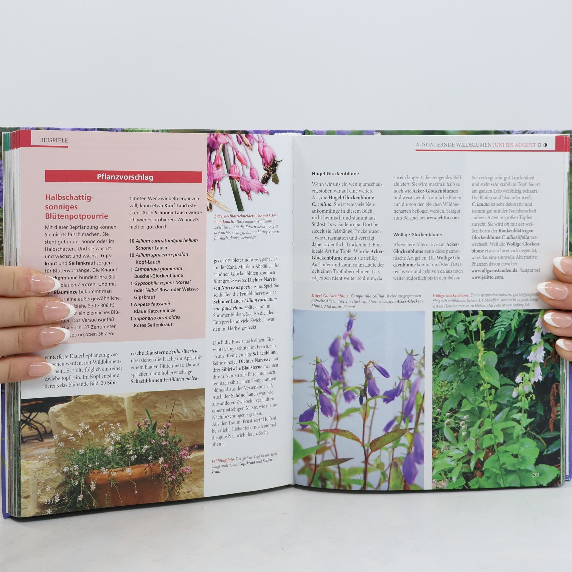 Reinhard Witt Das Wildpflanzen-Topfbuch. Band I
