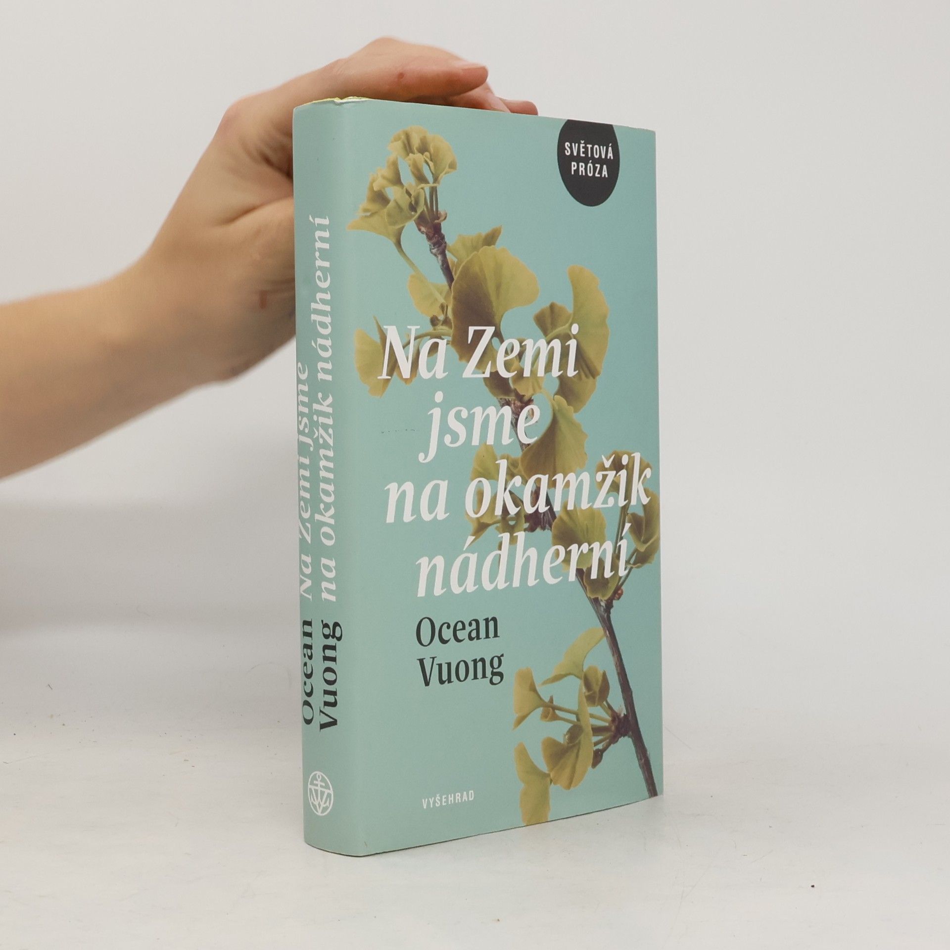 Ocean Vuong Na Zemi jsme na okamžik nádherní