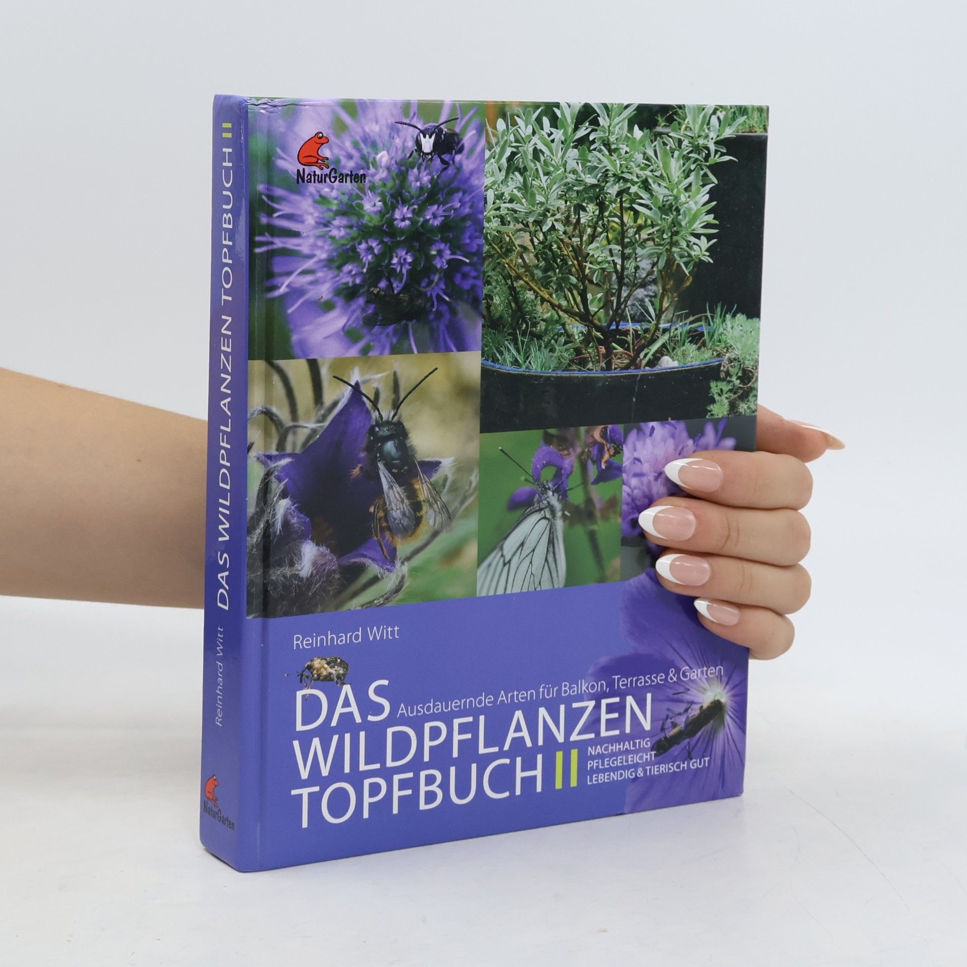 Reinhard Witt Das Wildpflanzen-Topfbuch. Band II