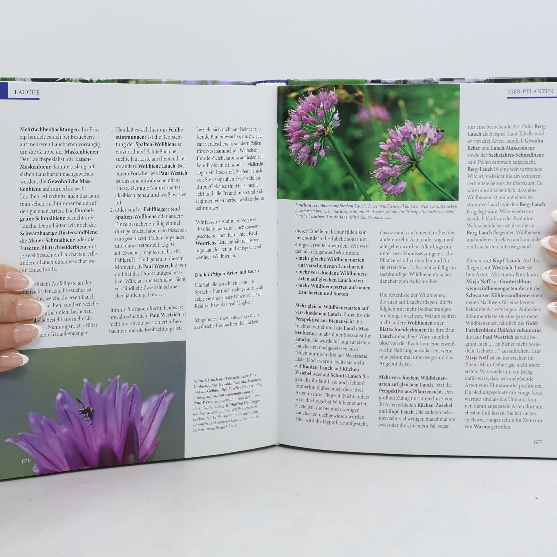 Reinhard Witt Das Wildpflanzen-Topfbuch. Band II