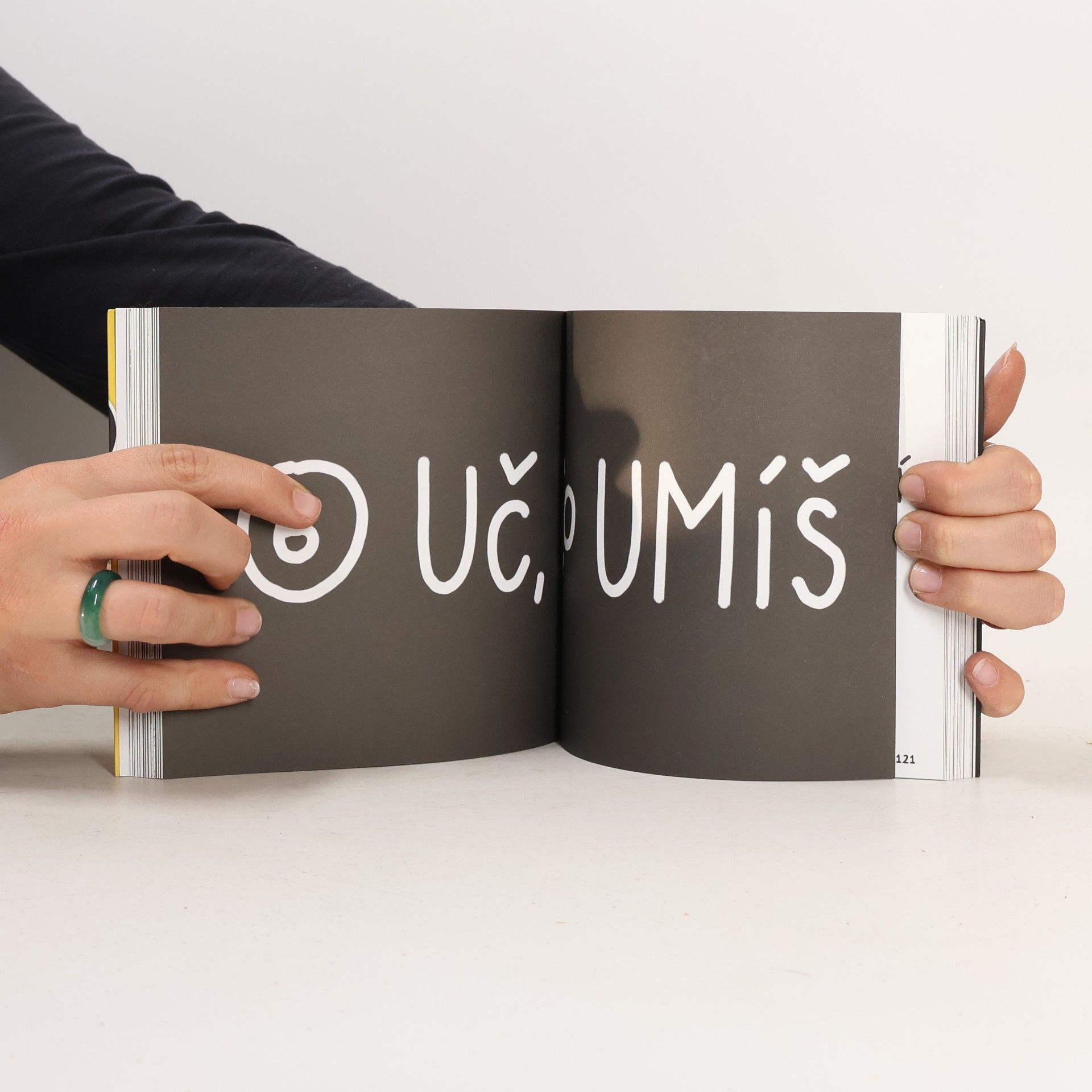 Austin Kleon Ukaž, co děláš! 10 způsobů, jak sdílet svou kreativitu a nechat se objevit