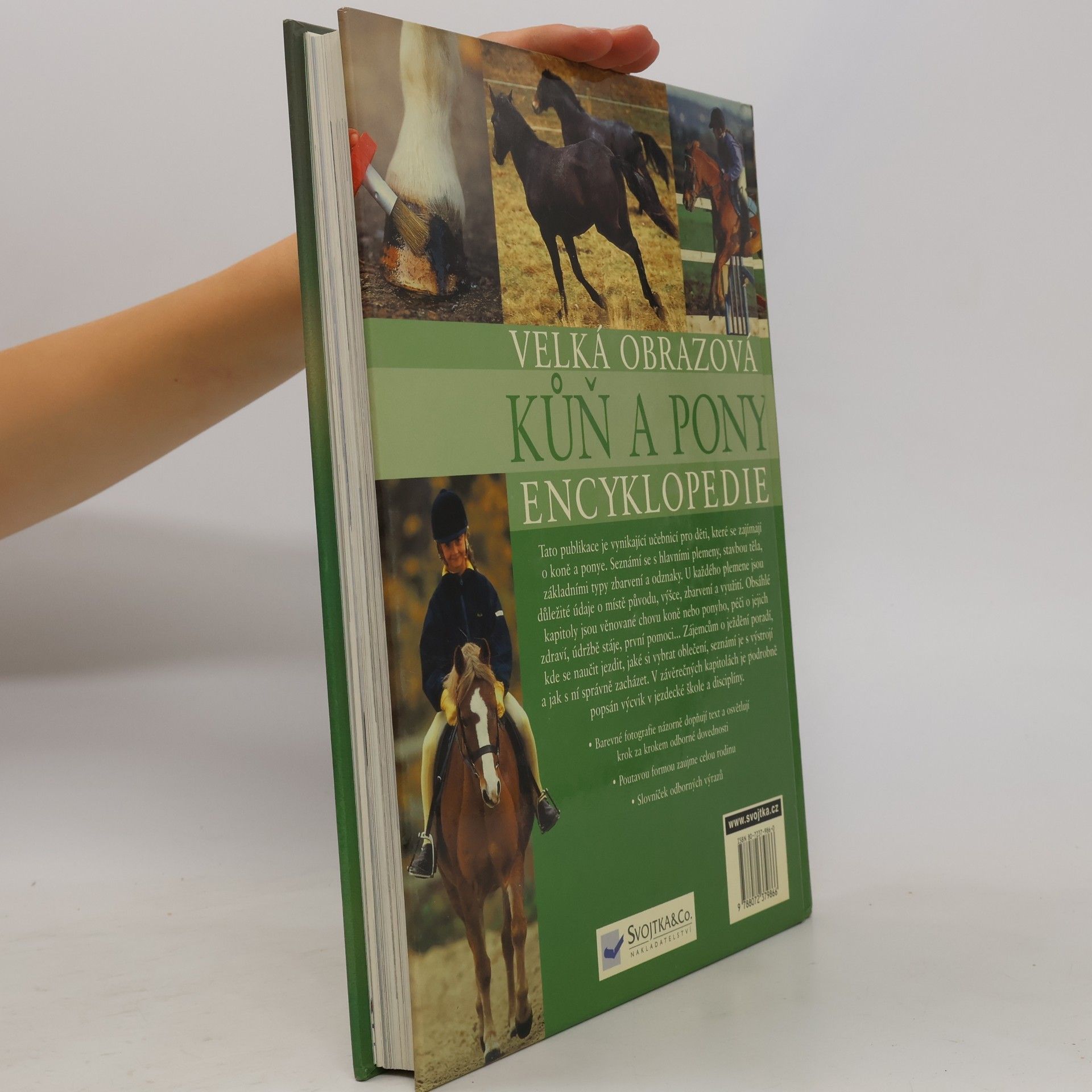 Sandy Ransford Kůň a pony: Velká obrazová encyklopedie