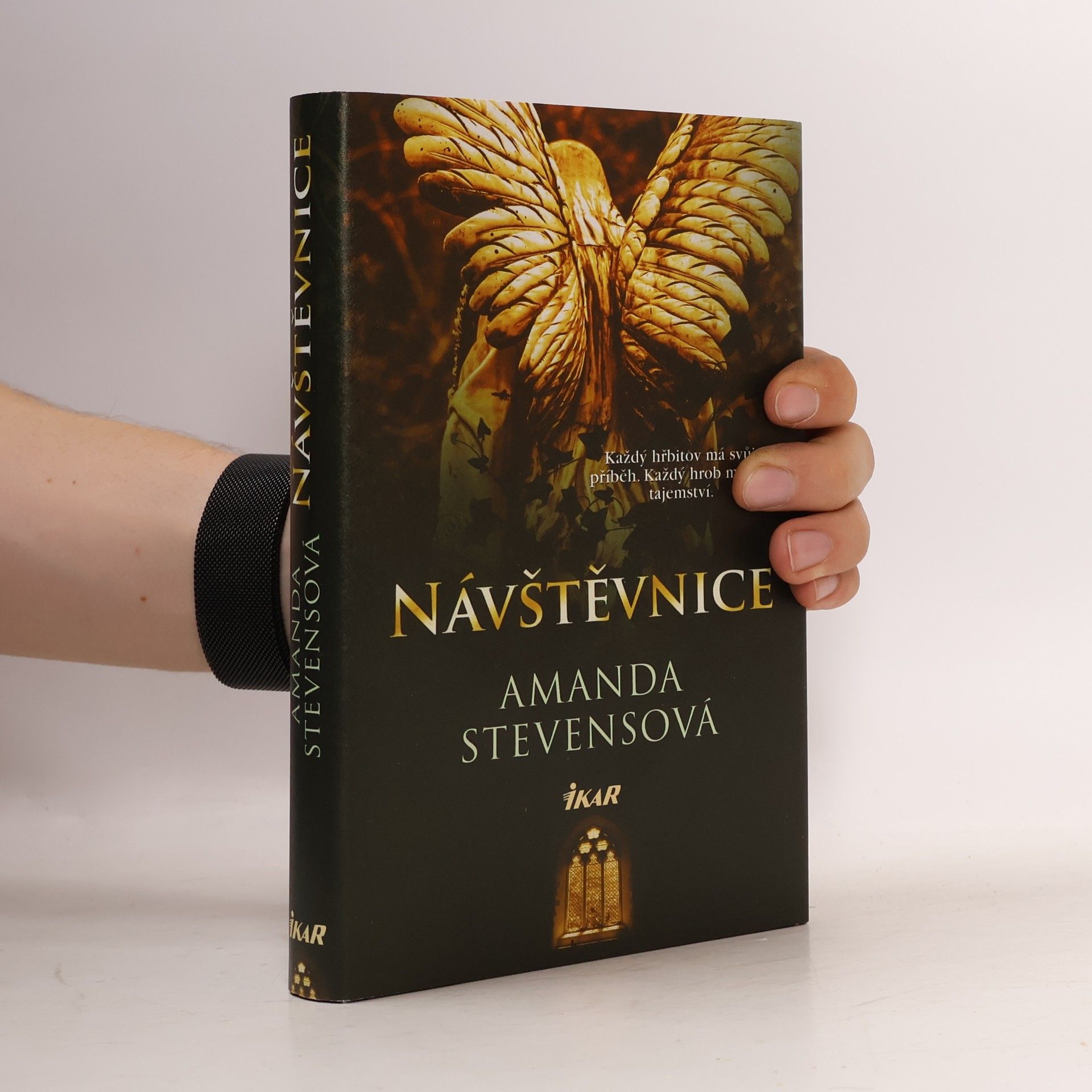 Amanda Stevens Návštěvnice