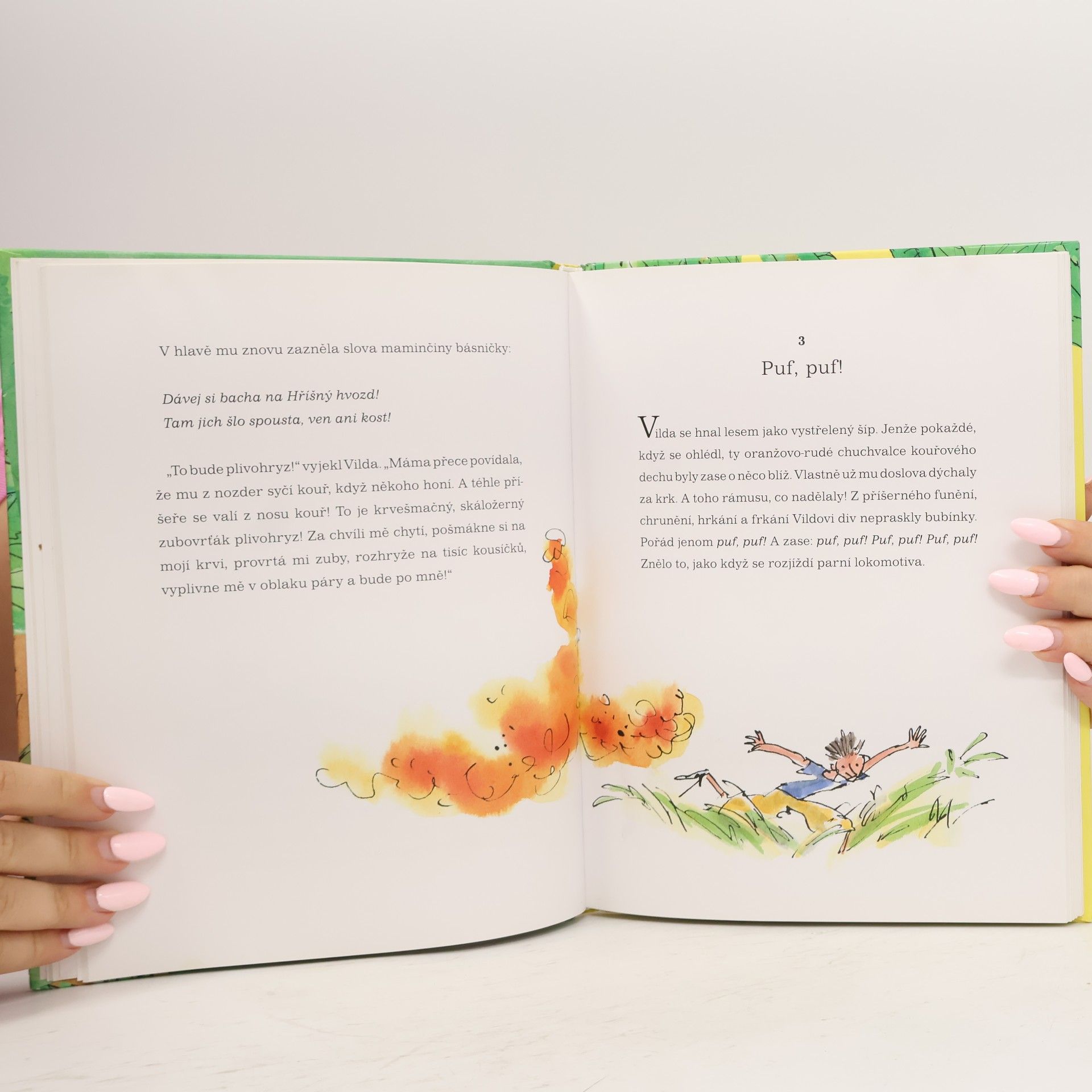 Roald Dahl Vilda a pidipískové