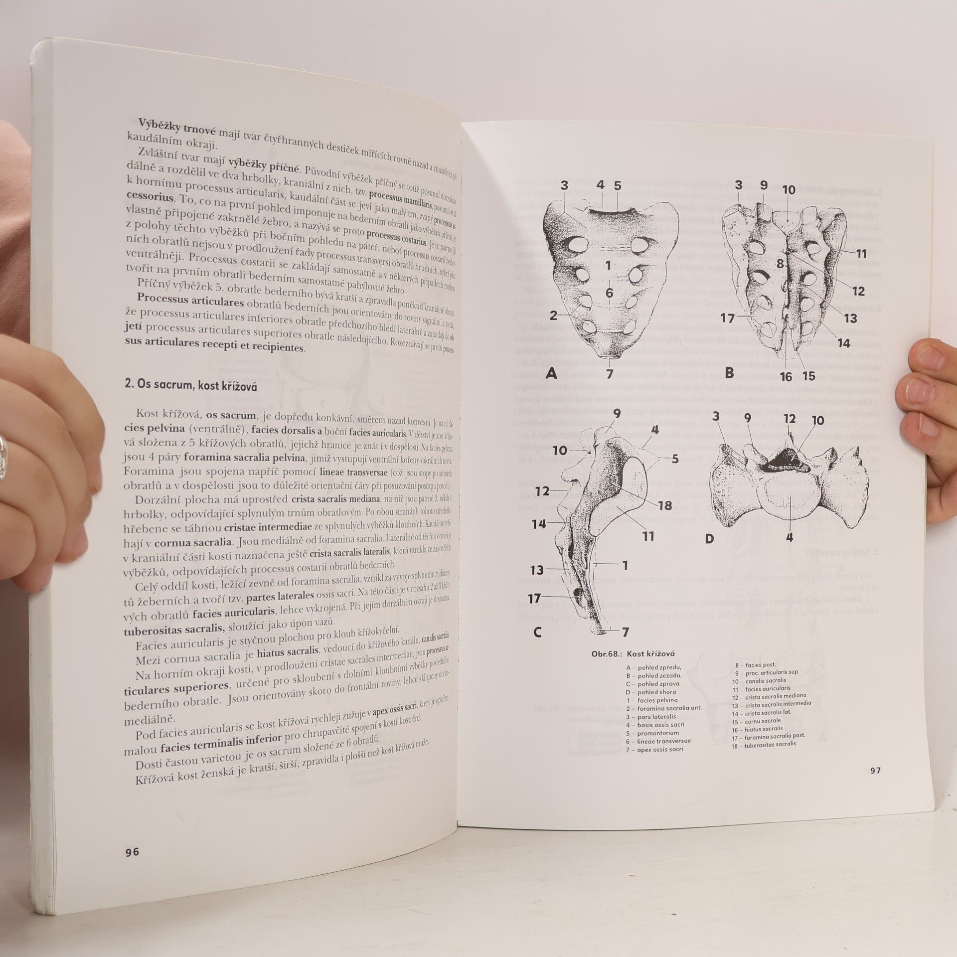 Olga Mrázková Systematická, topografická a klinická anatomie 3. - Pohybový aparát hlavy a trupu