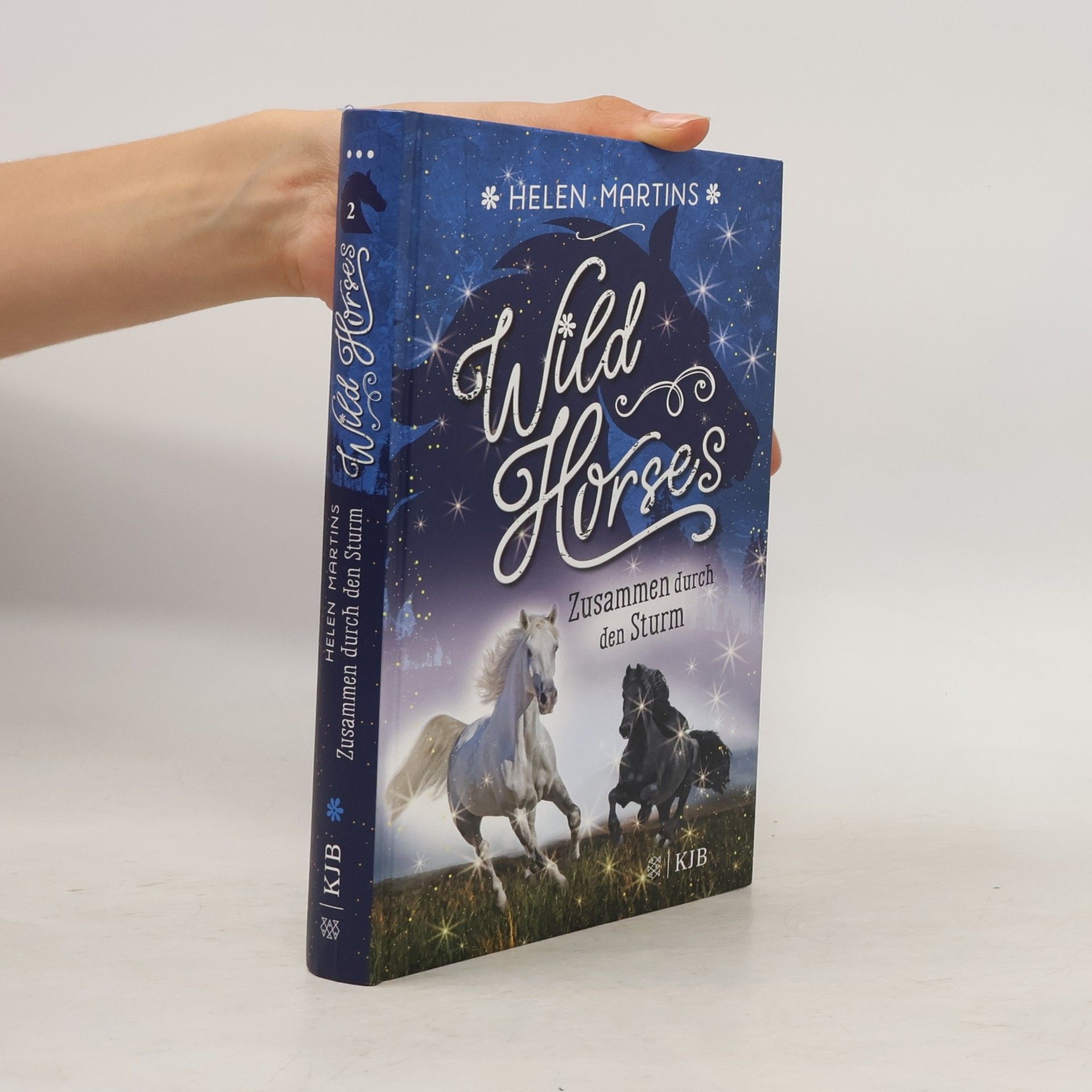 Helen Martins Wild Horses - Zusammen durch den Sturm