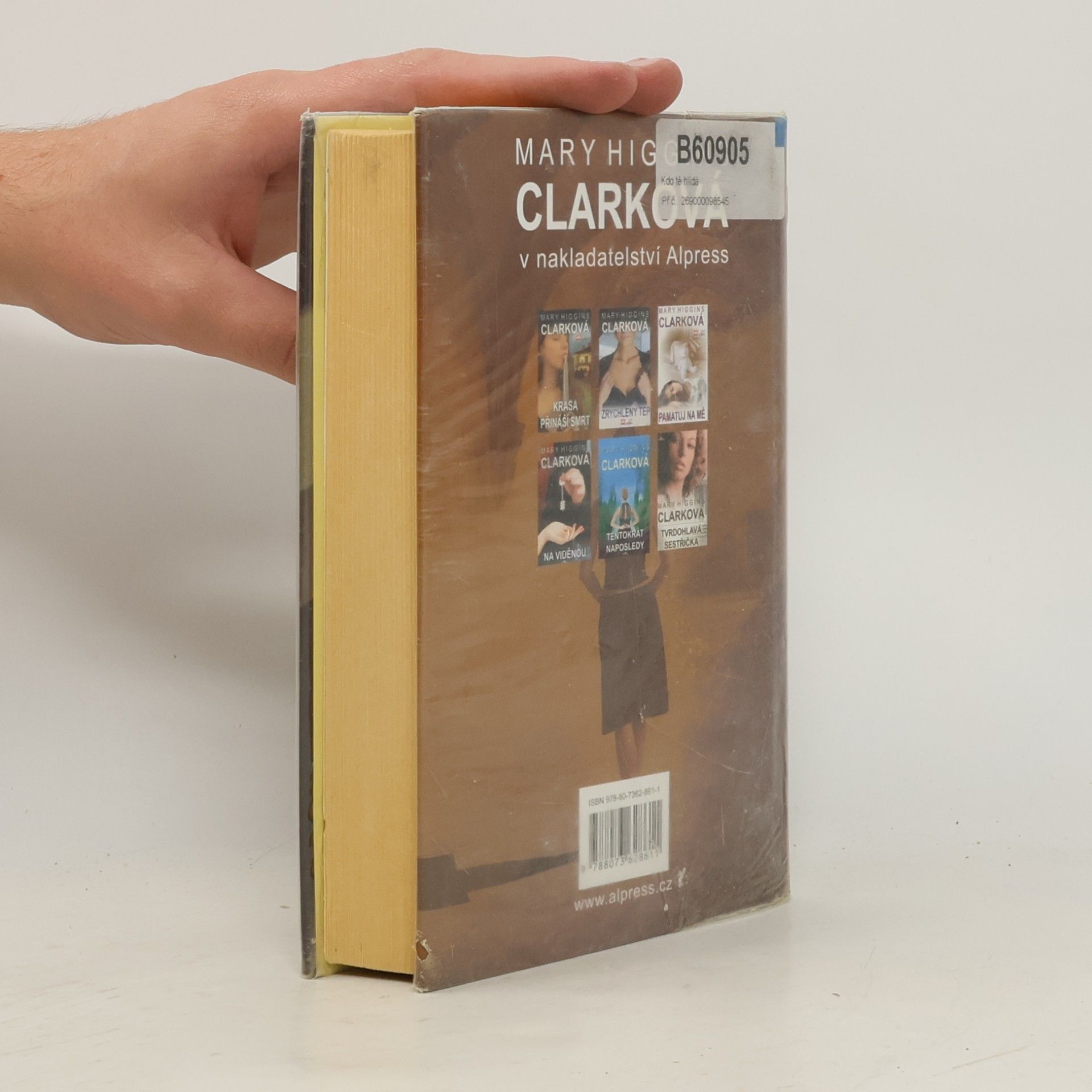 Mary Higginsová Clarková Kdo tě hlídá