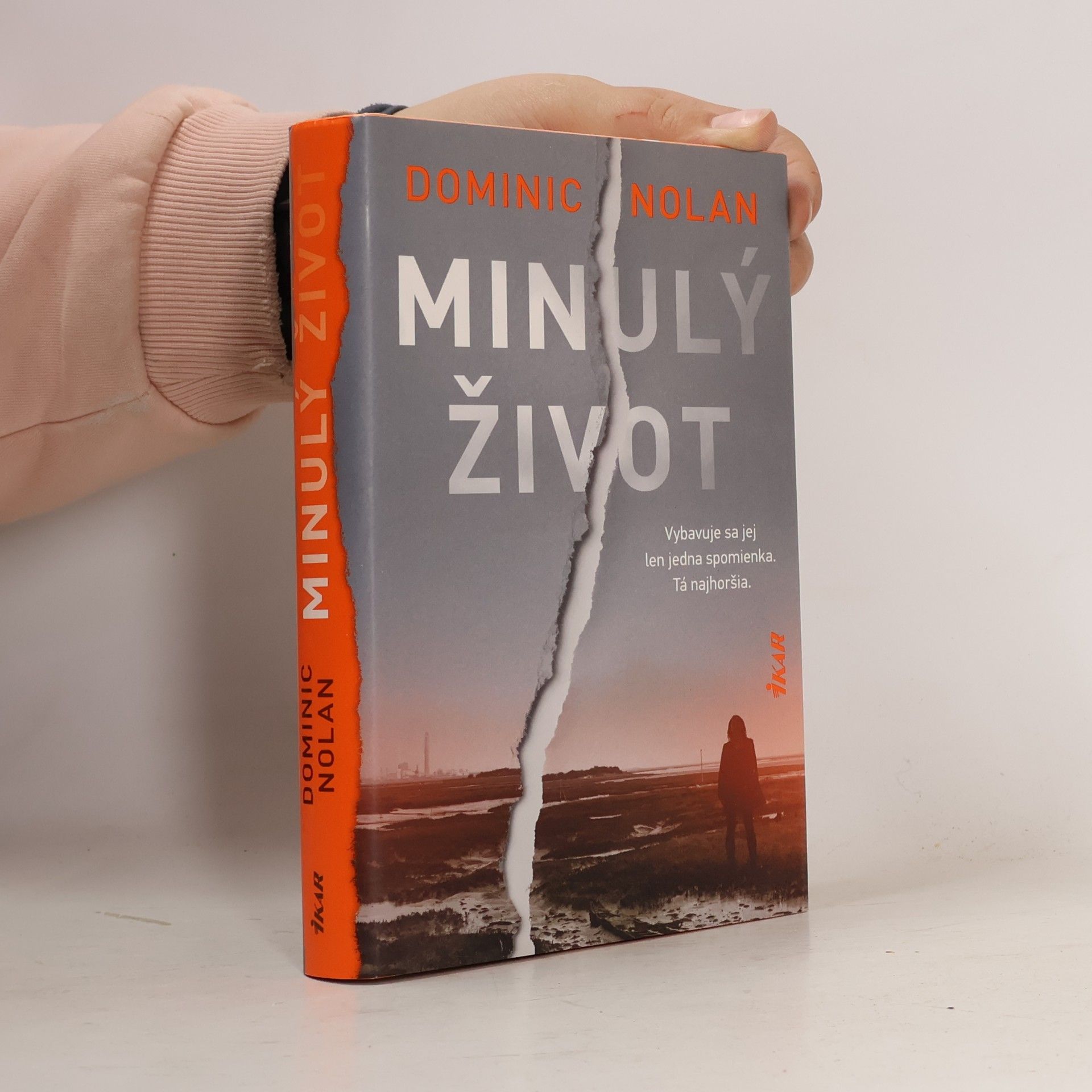Dominic Nolan Minulý život