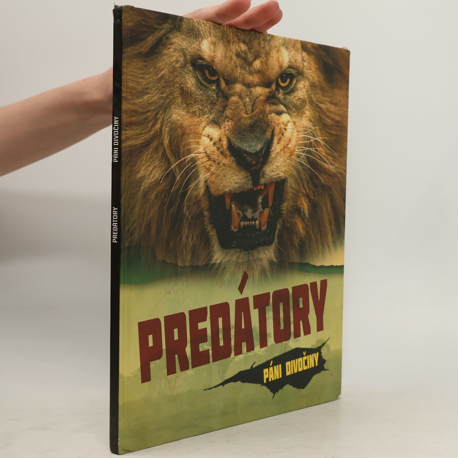 Krisztián Bakó Predátory
