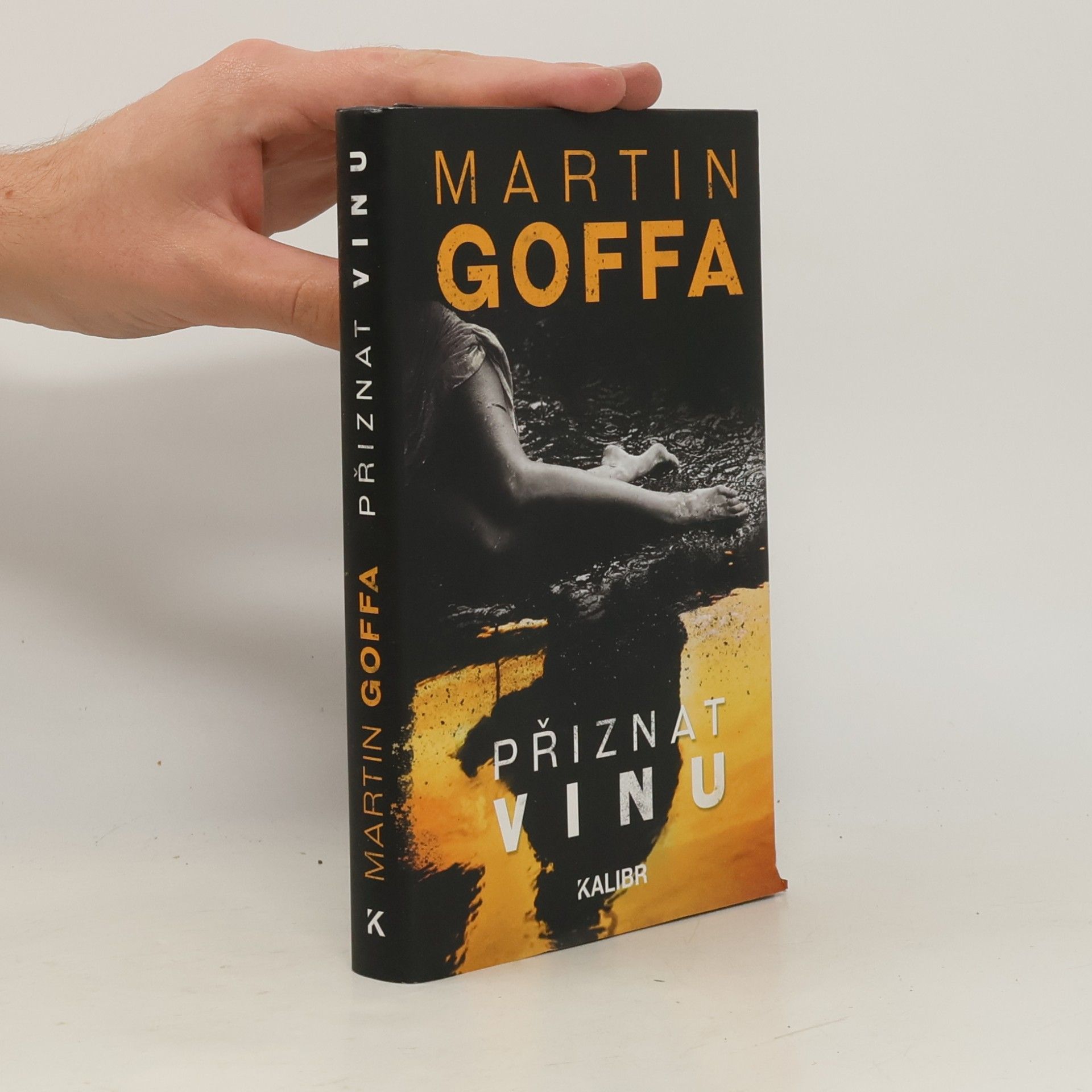 Martin Goffa Přiznat vinu