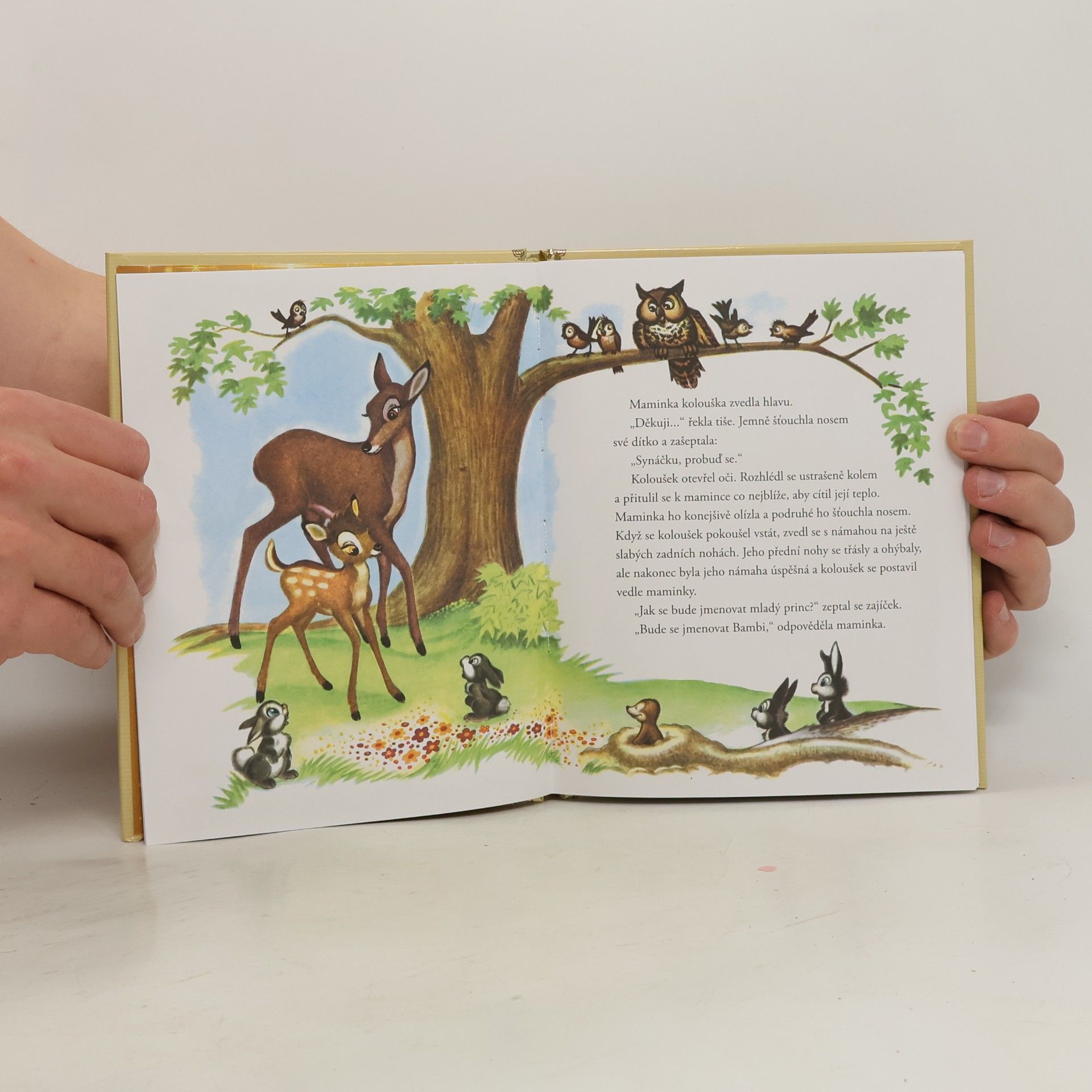 Walt Disney Zlatá sbírka pohádek 4. Bambi