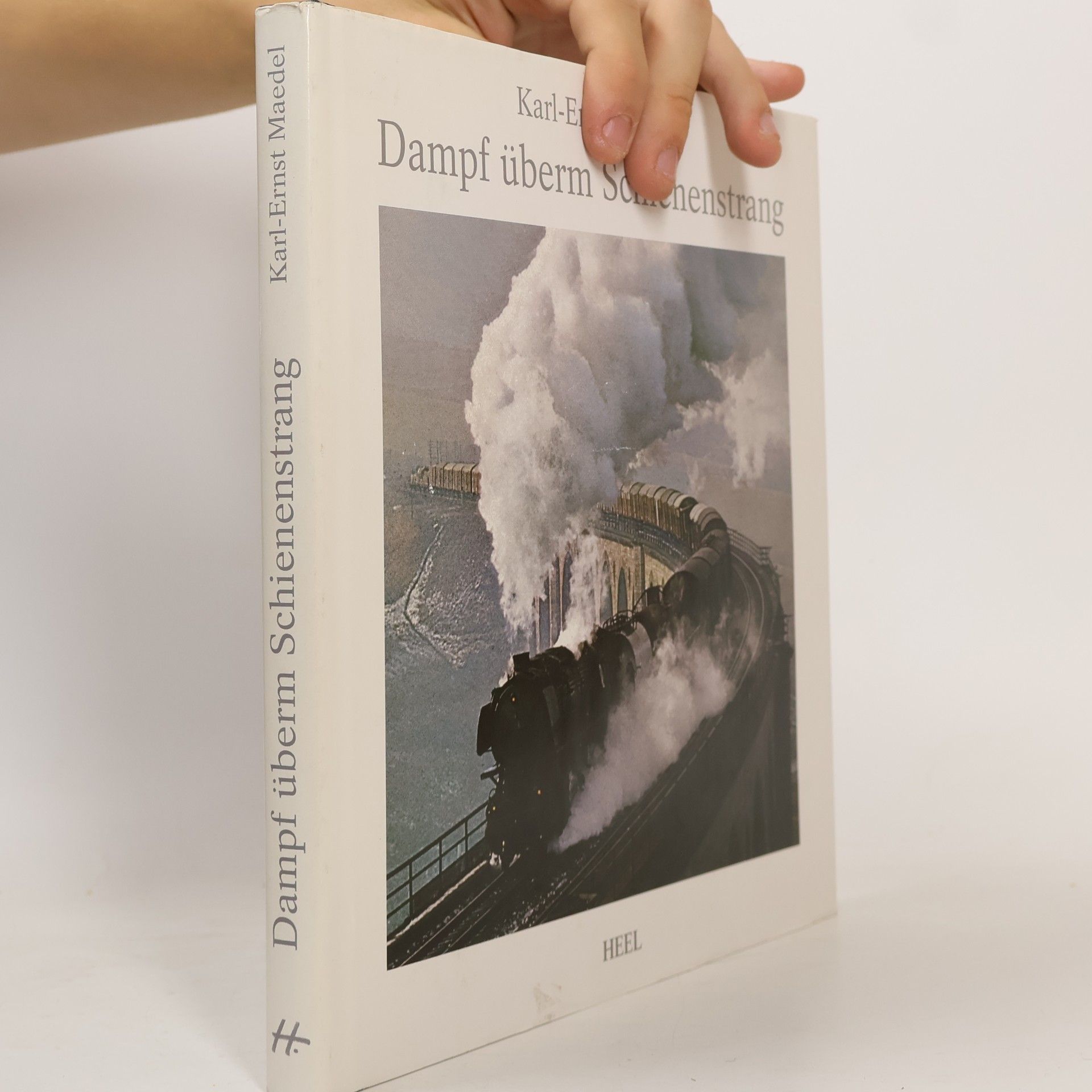 Karl-Ernst Maedel Dampf überm Schienenstrang