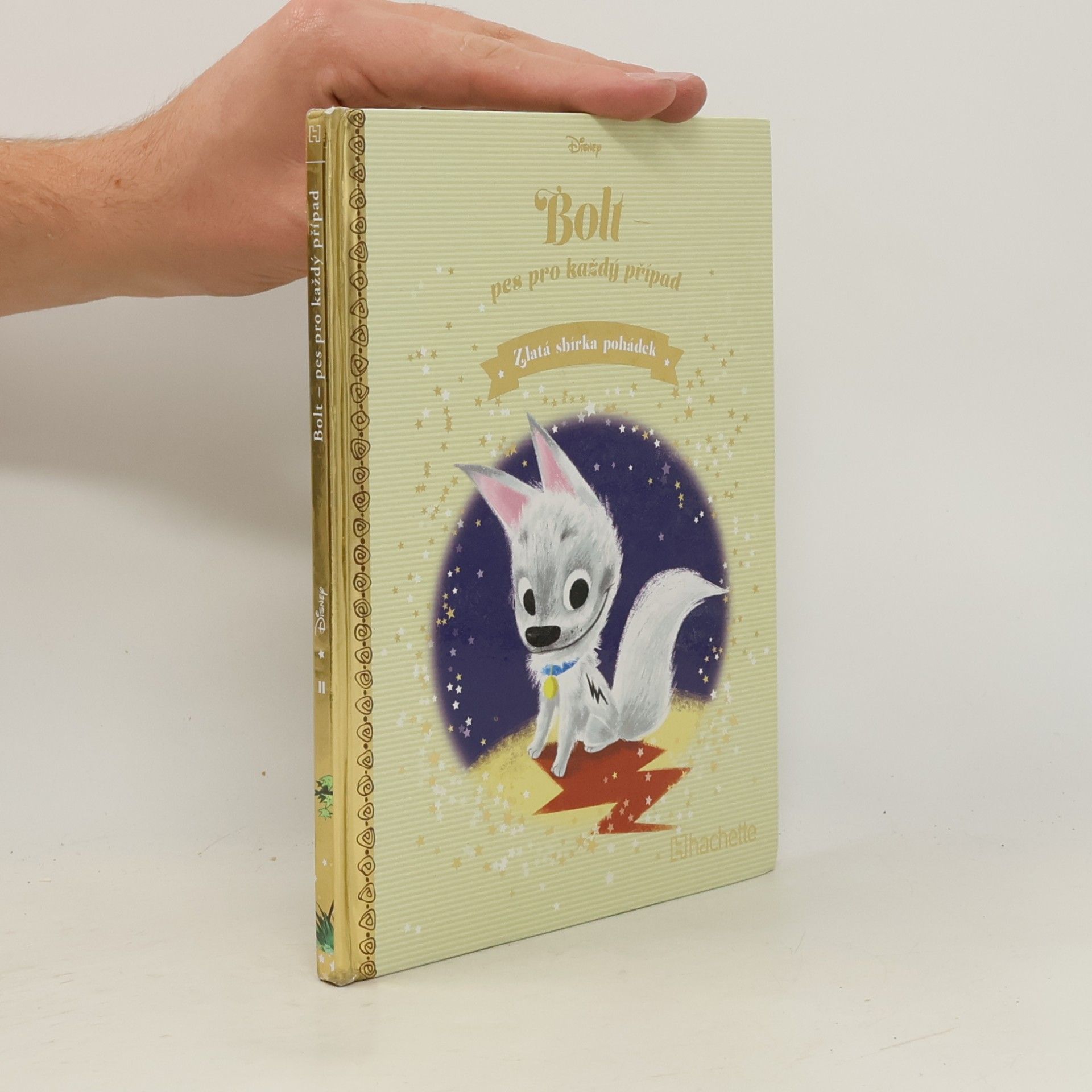 Kolektiv autorů Bolt