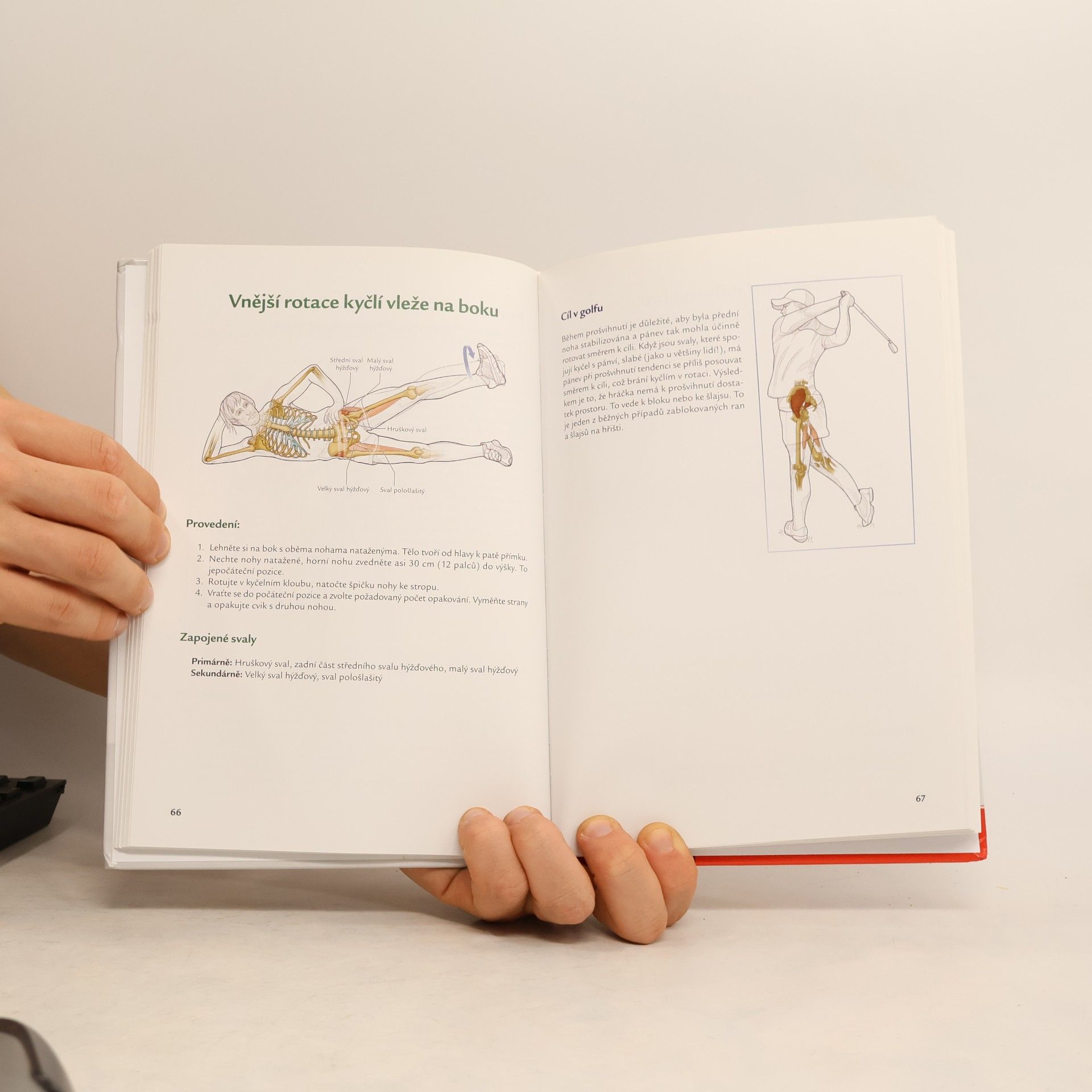 Craig Davies Golf - anatomie