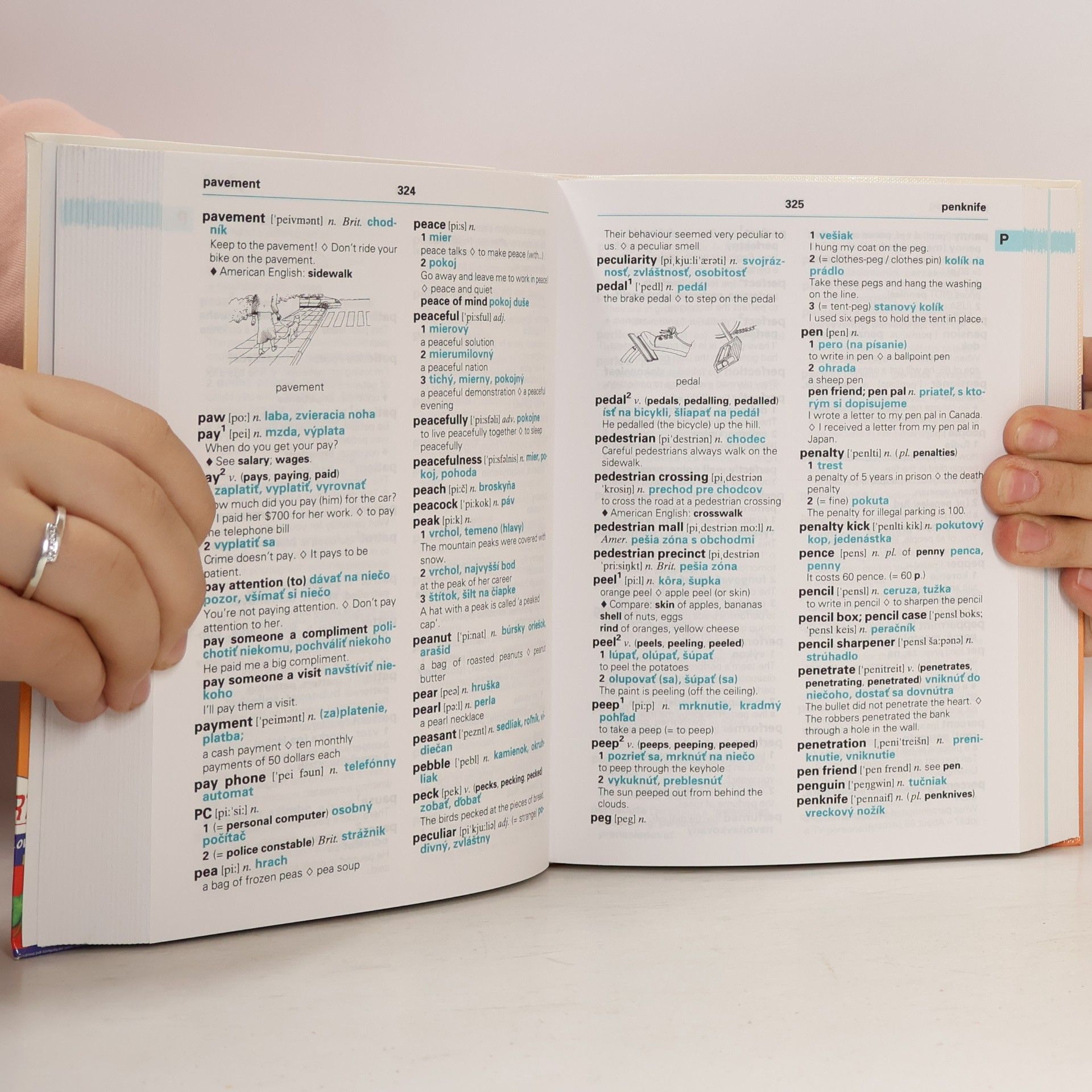 Autorenkollektiv Passport - anglicko-slovenský slovník : s príkladmi použitia hesiel vo vetách = Passport - English-Slovak learner's dictionary Passport - English-Slovak learner's dictionary