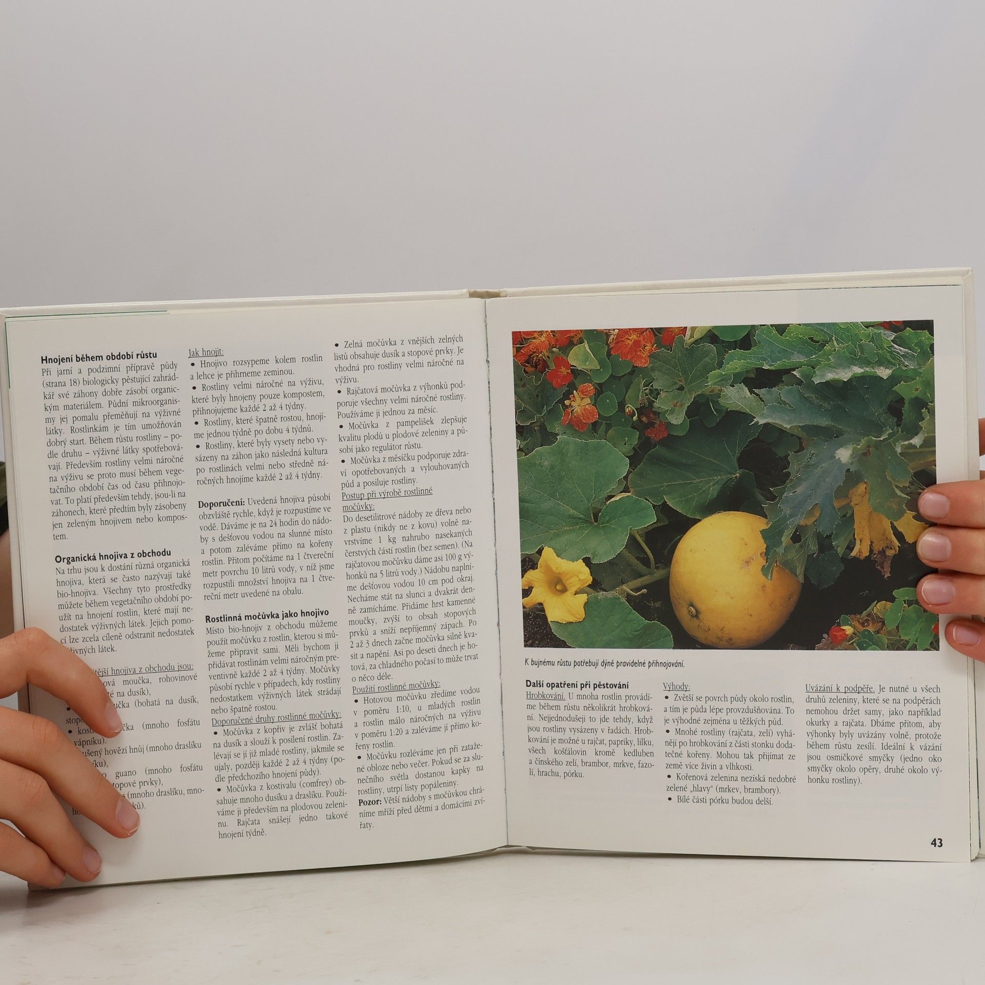Christine Recht Zelenina pěstovaná biologicky bez chemického ošetření