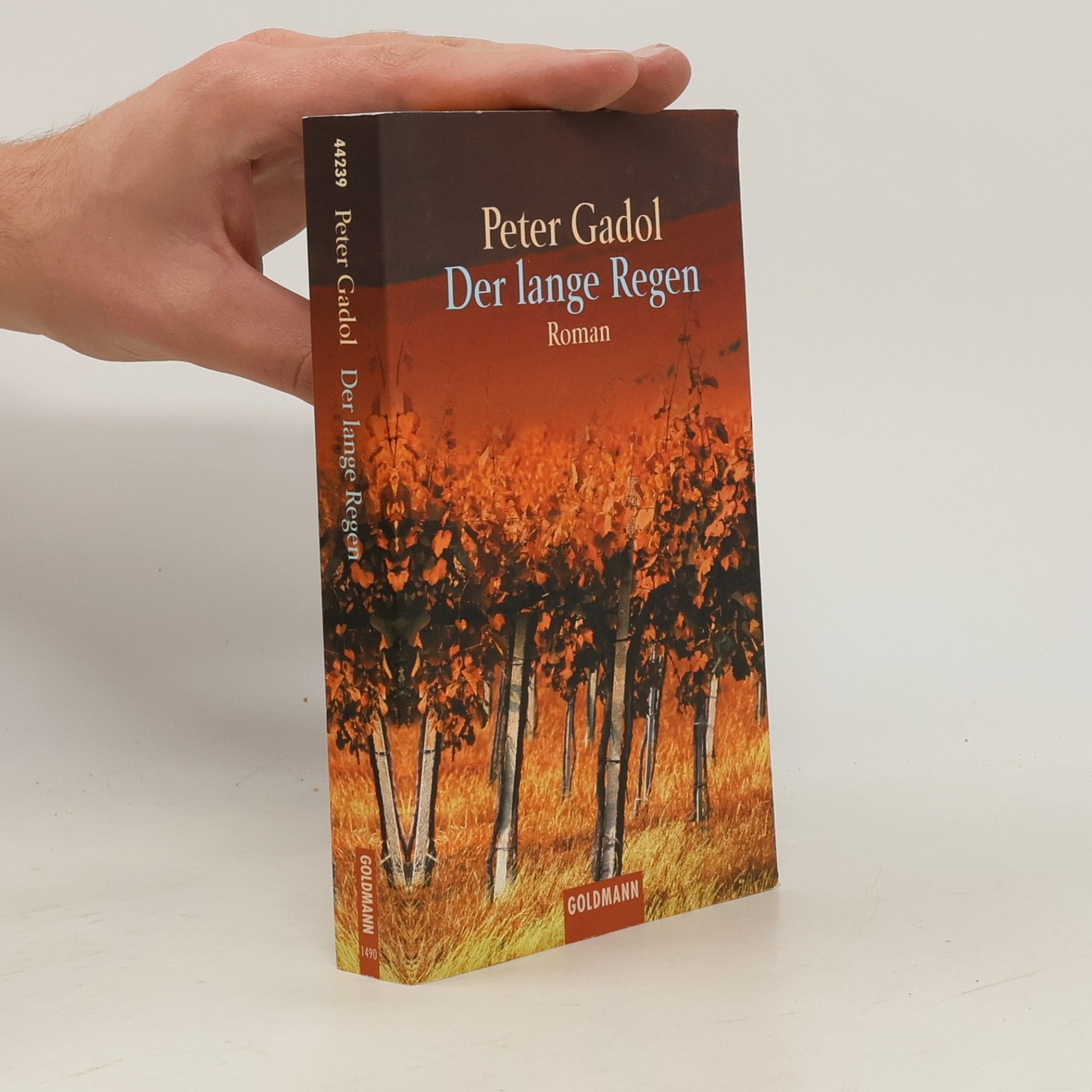 Peter Gadol Der lange Regen