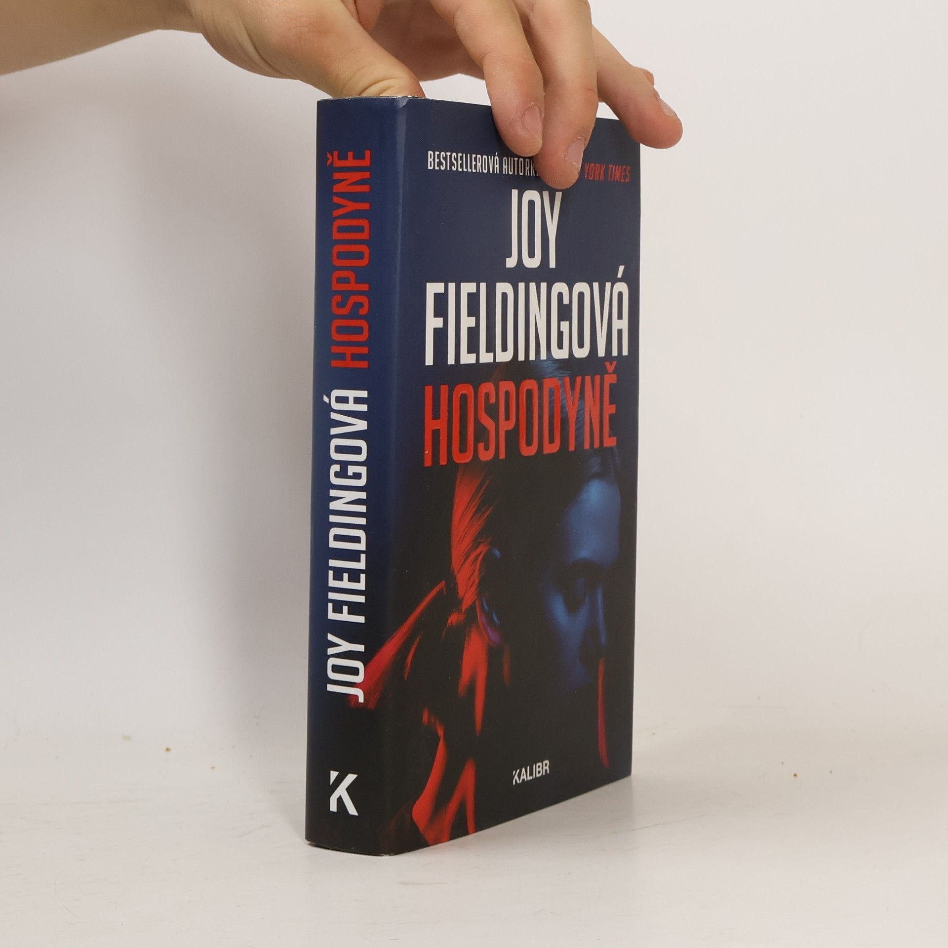 Joy Fielding Hospodyně