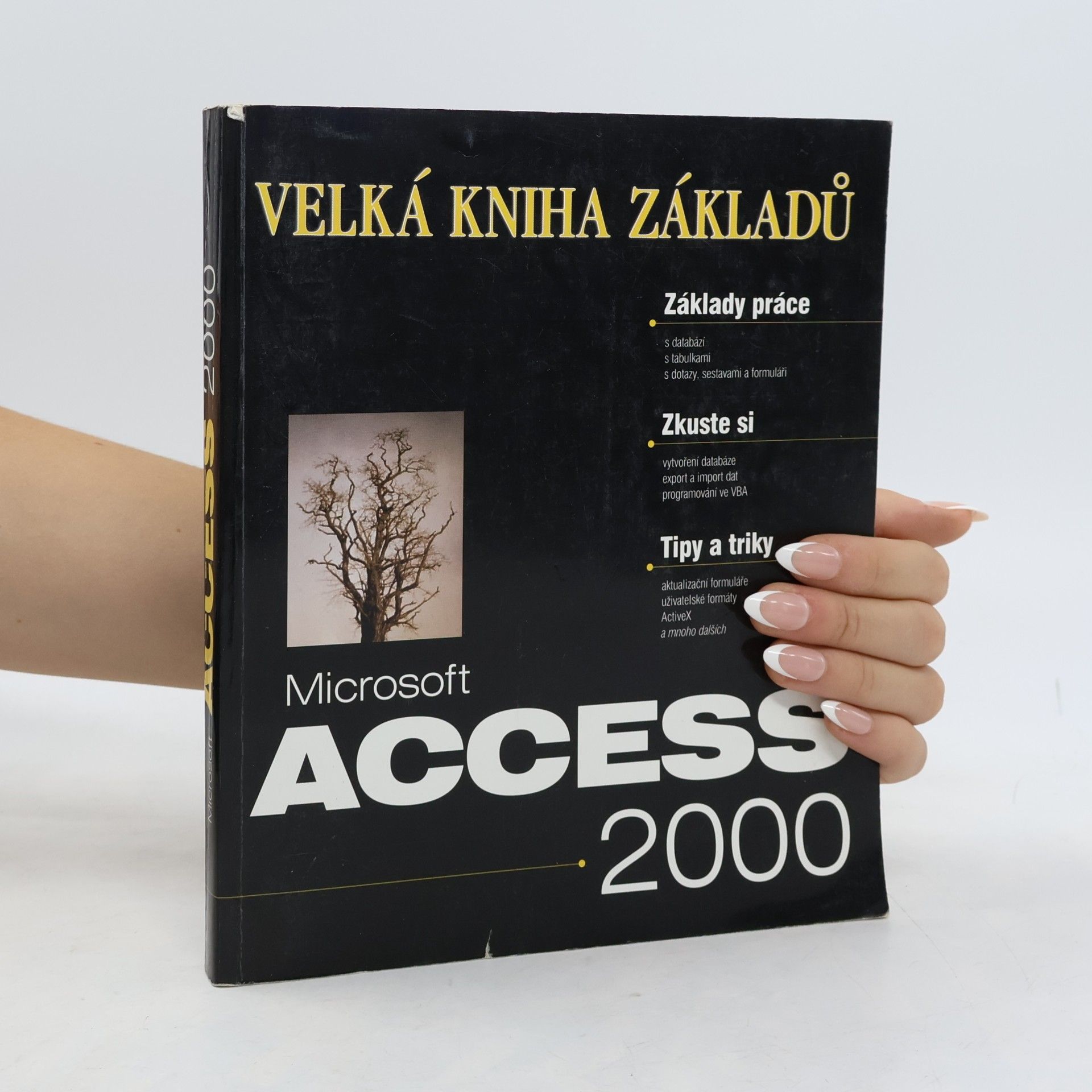Jan Pokorný Microsoft Access 2000 velká kniha základů