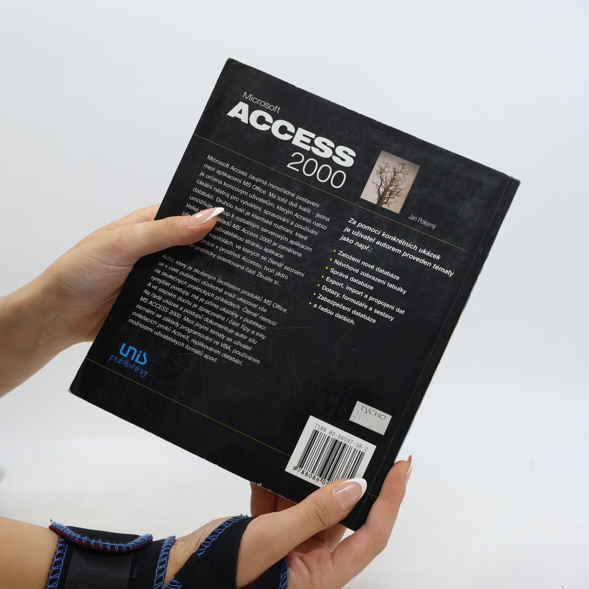 Jan Pokorný Microsoft Access 2000 velká kniha základů