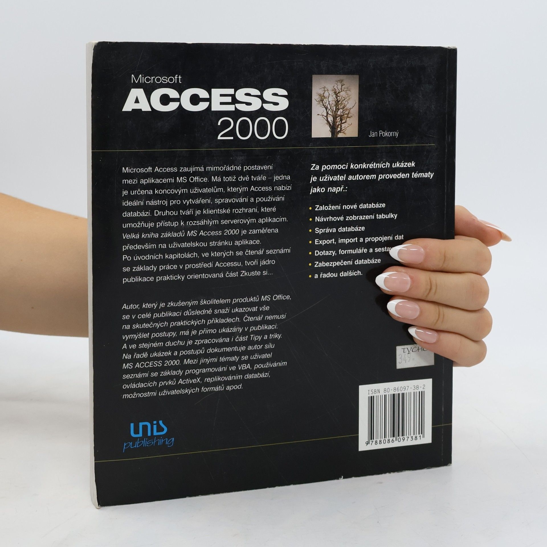 Jan Pokorný Microsoft Access 2000 velká kniha základů