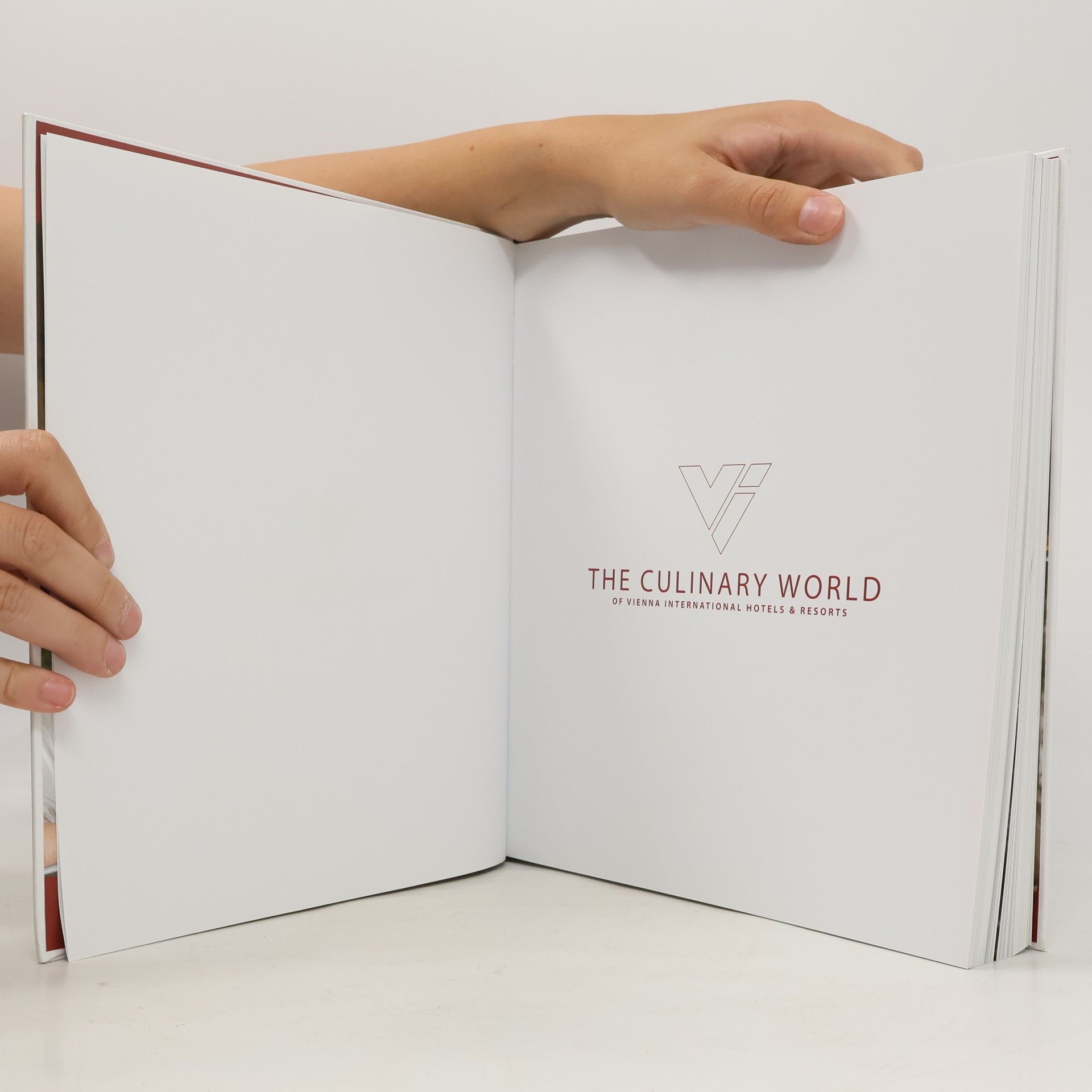 Kolektiv autorů The Culinary World of Vienna International Hotels & Resorts
