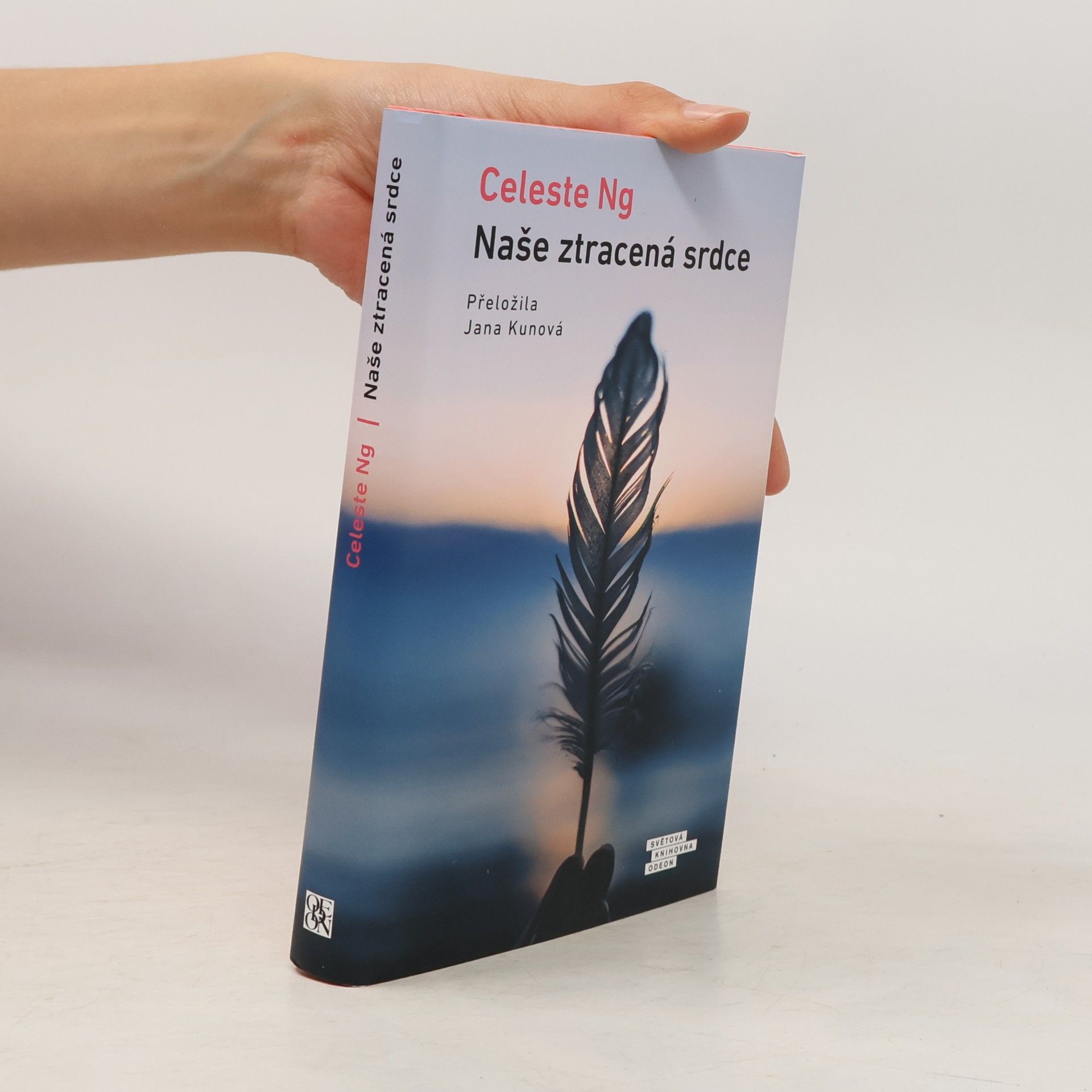 Celeste Ng Naše ztracená srdce