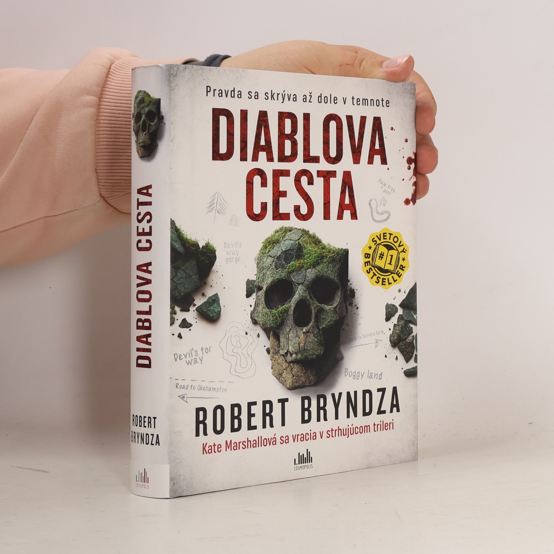 Robert Bryndza Diablova cesta