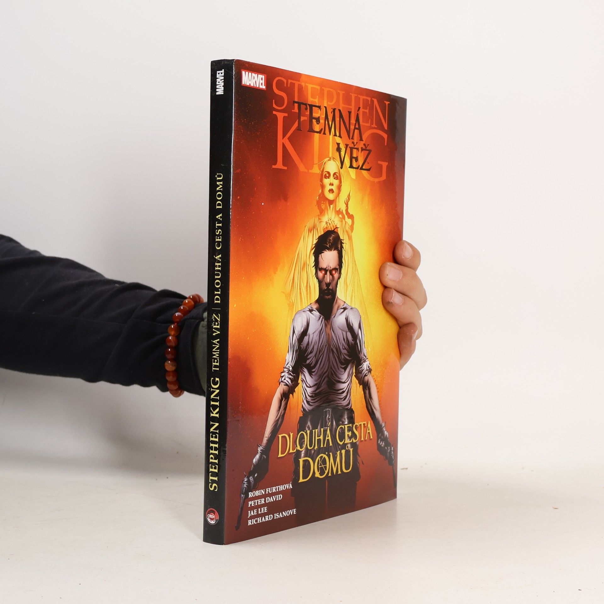Stephen King Temná věž. Dlouhá cesta domů