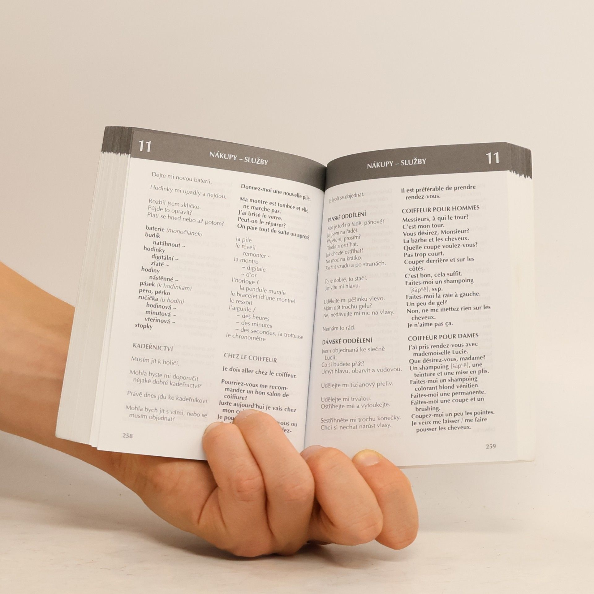 Jarmila Janešová Francouzština ihned k použití - do kapsy