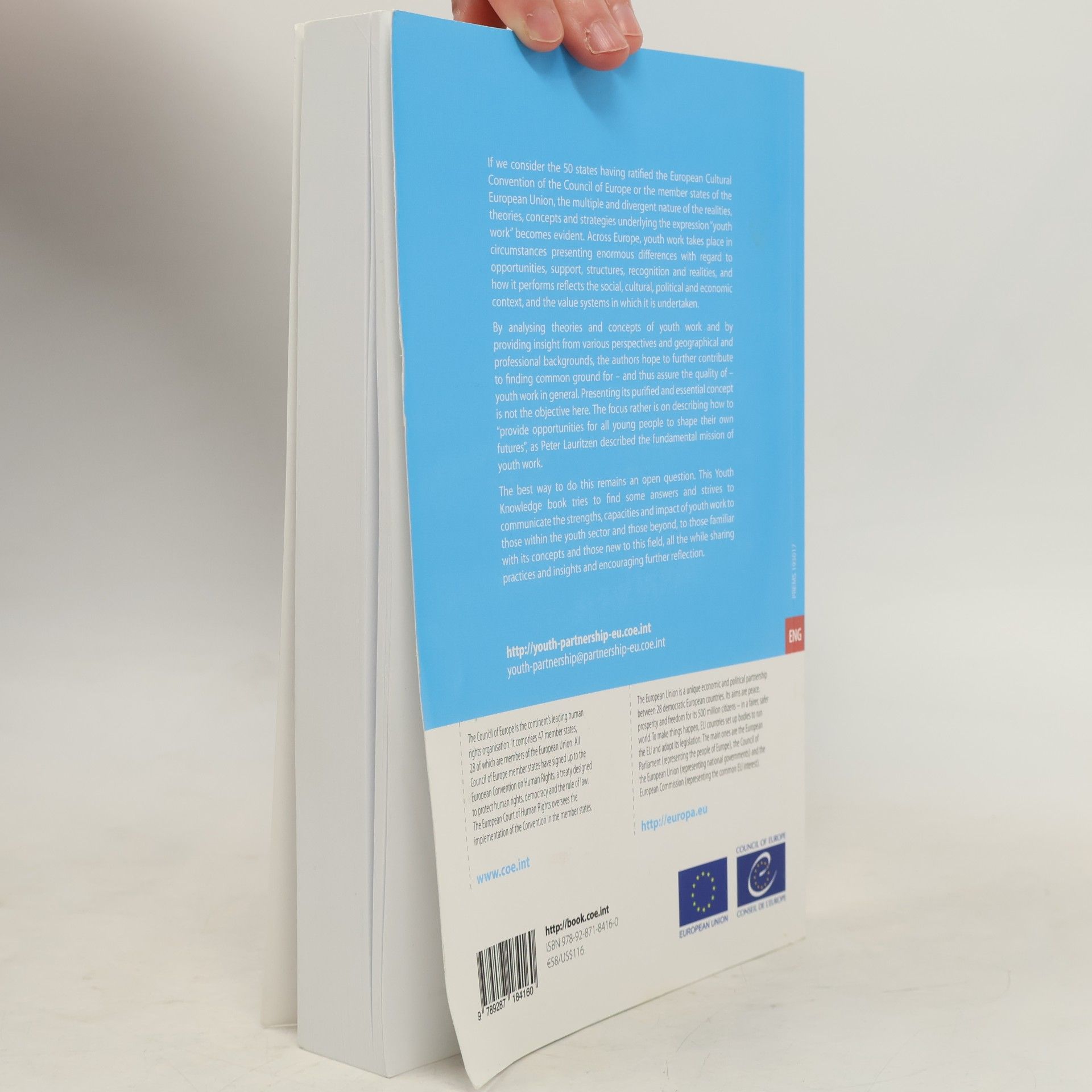 Council of Europe Youth Knowledge - 20: Thinking Seriously About Youth Work