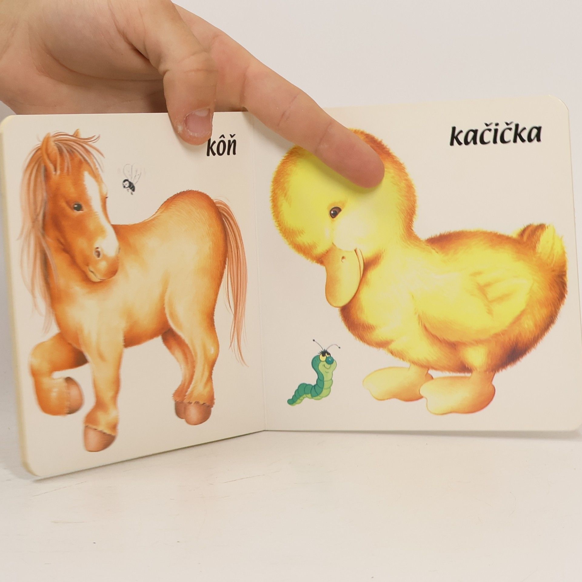 Autorenkollektiv Na vidieku