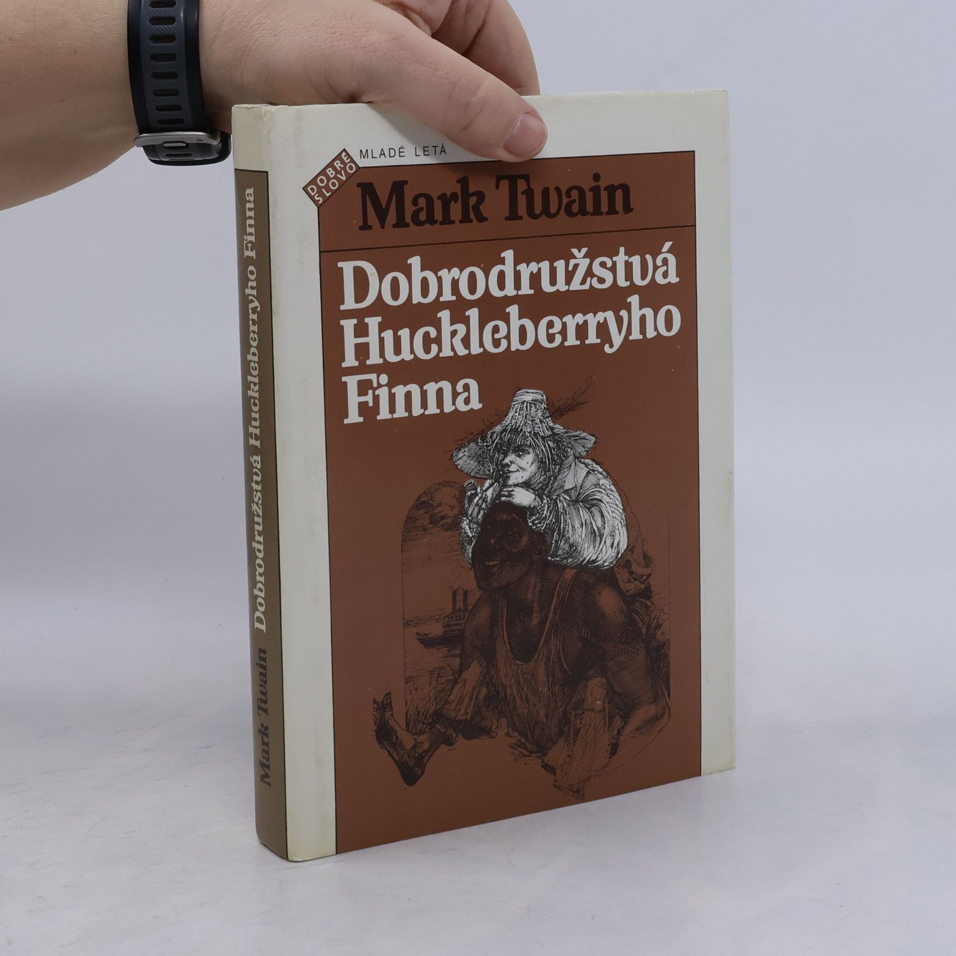 Dobrodružstvá Huckleberryho Finna