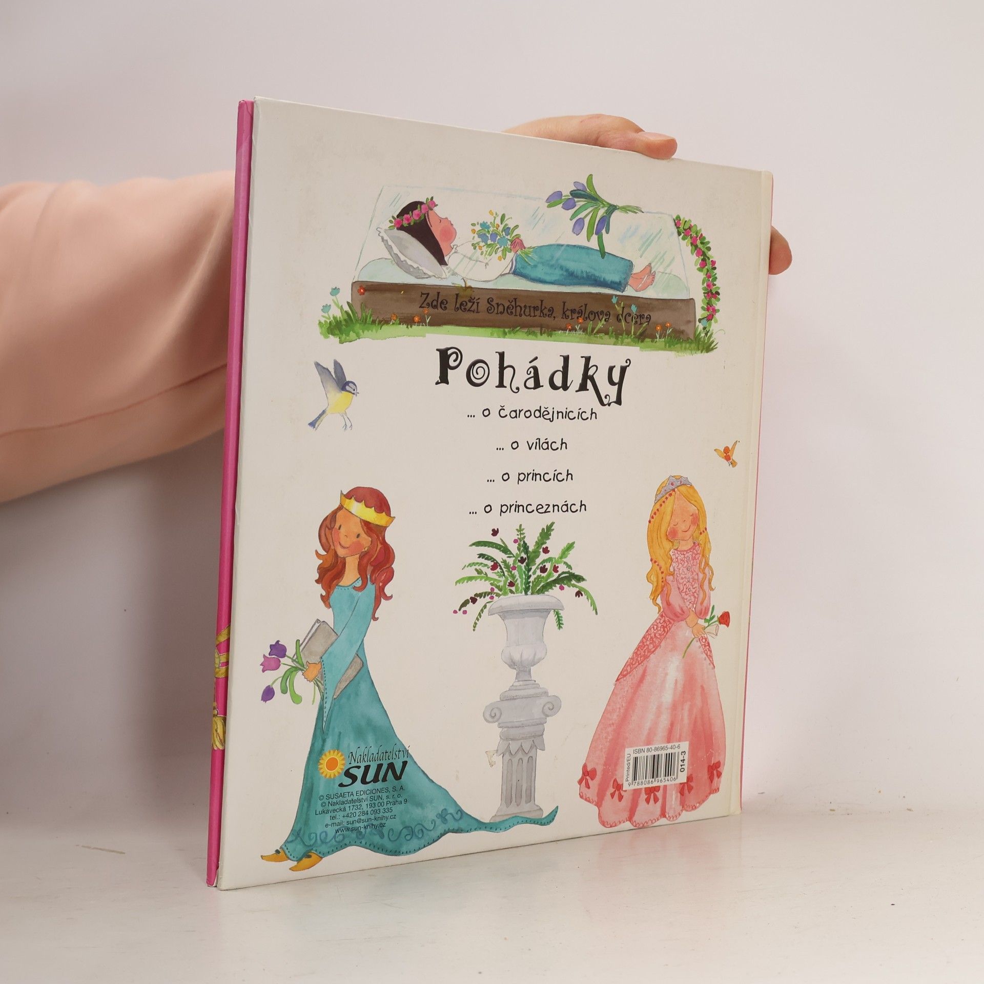 Celia Ruiz Ibáńez Pohádky o princeznách