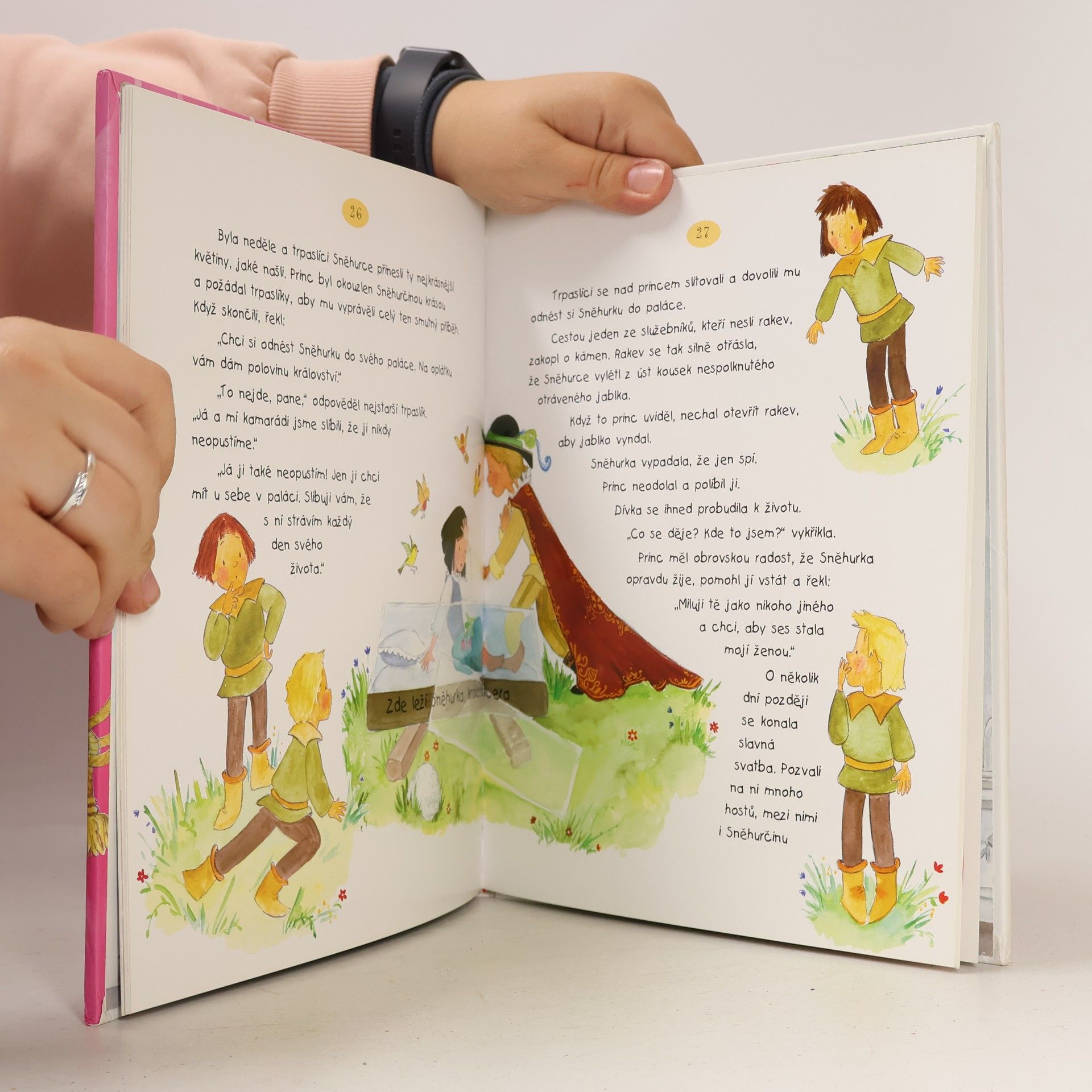 Celia Ruiz Ibáńez Pohádky o princeznách