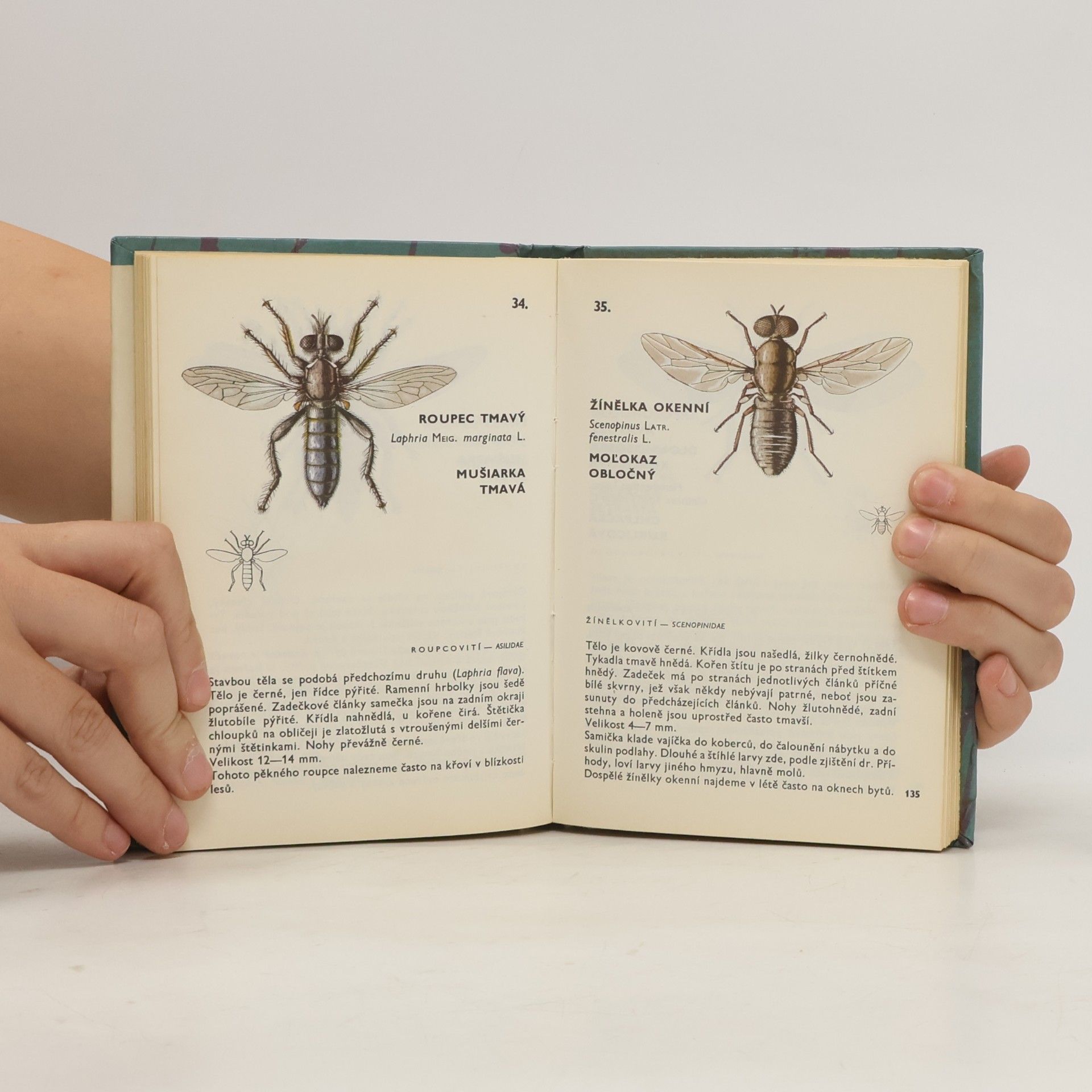 Vladimír Javorek Kapesní atlas dvoukřídlého hmyzu