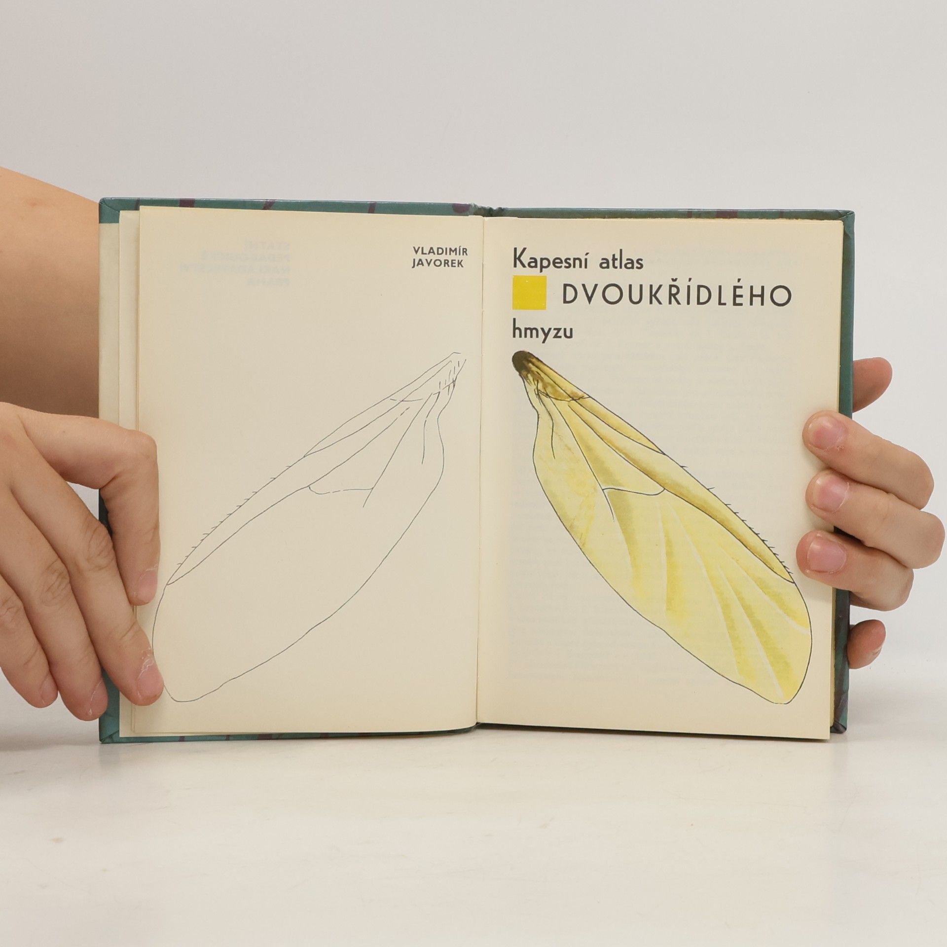 Vladimír Javorek Kapesní atlas dvoukřídlého hmyzu