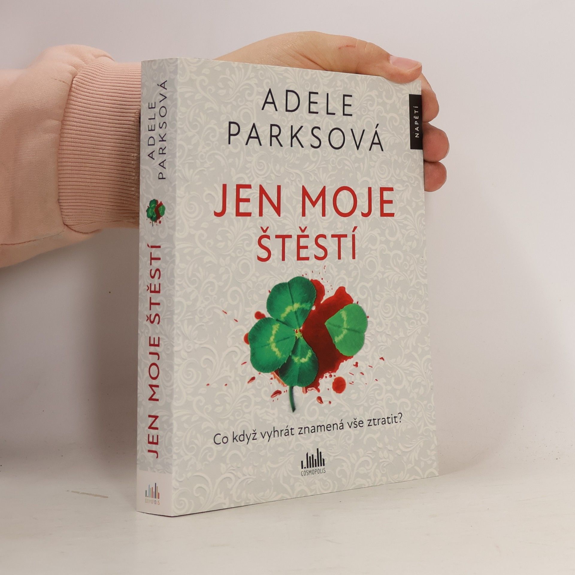 Adele Parks Jen moje štěstí