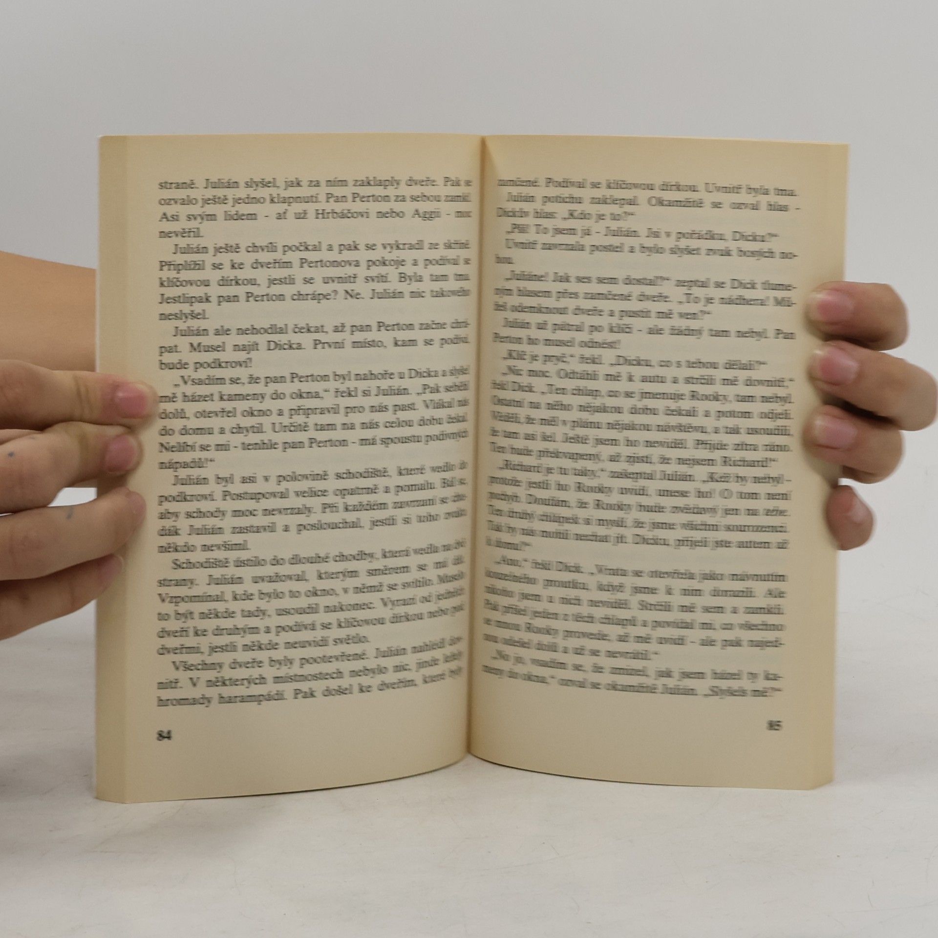 Enid Blyton Správná pětka. Pětka v Sovím doupěti