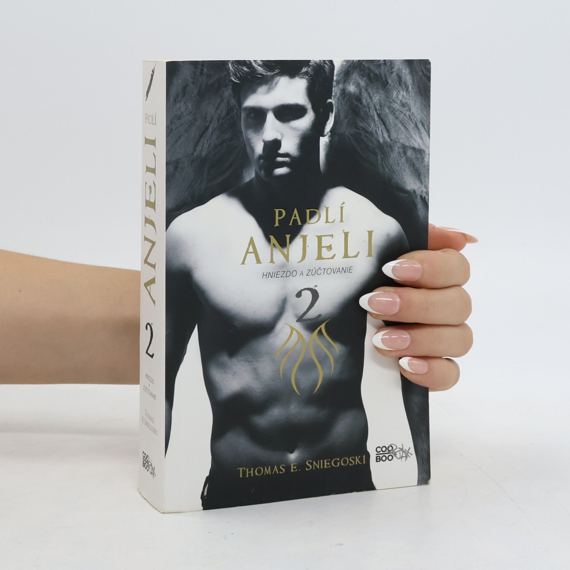 Tom Sniegoski Padlí anjeli 2: Hniezdo a zúčtovanie