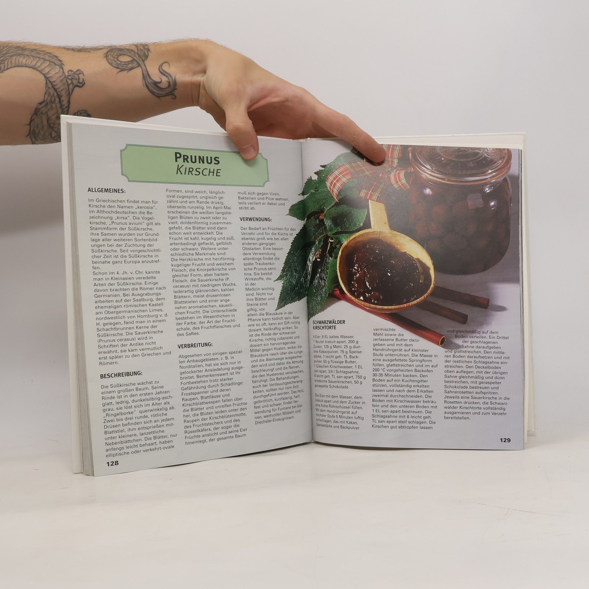 Collectif d'auteurs Das Handbuch. Kräuter und Heilpflanzen