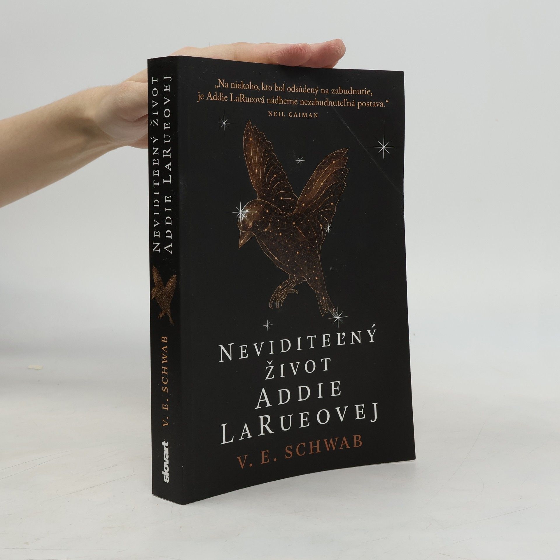 V. E. Schwab Neviditeľný život Addie LaRueovej