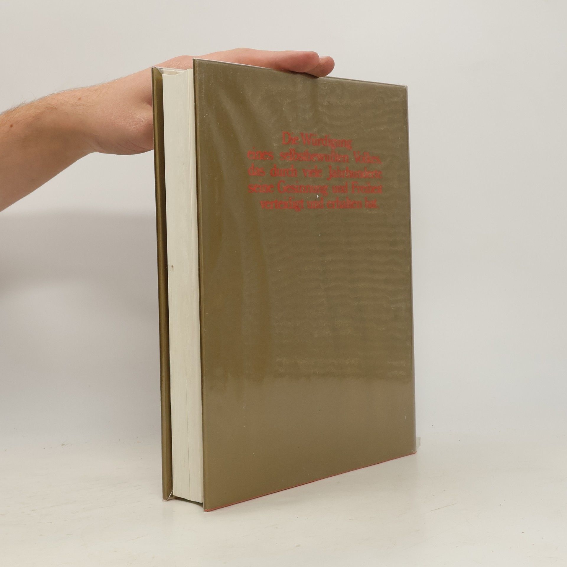 Erich Egg Das große Tiroler Schützenbuch