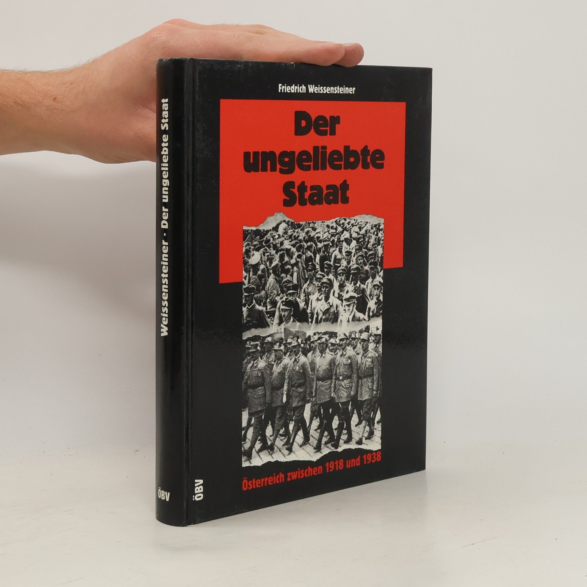 Der ungeliebte Staat