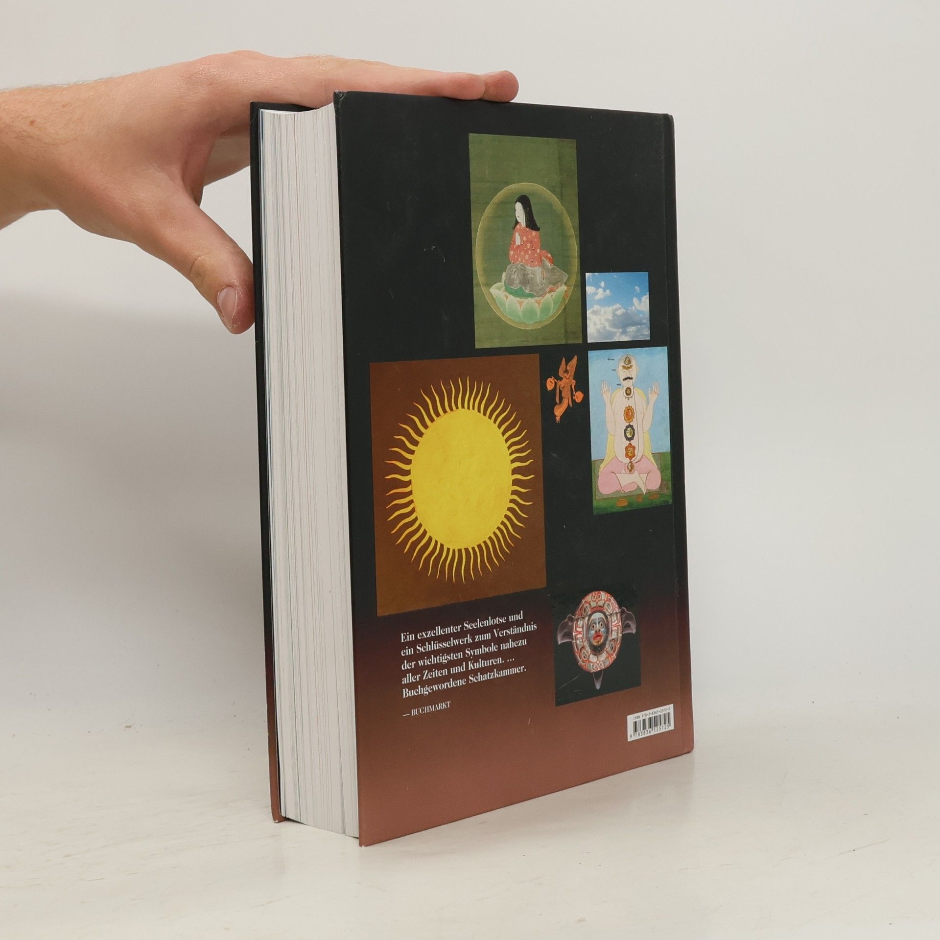 Ami Ronnberg Das Buch der Symbole