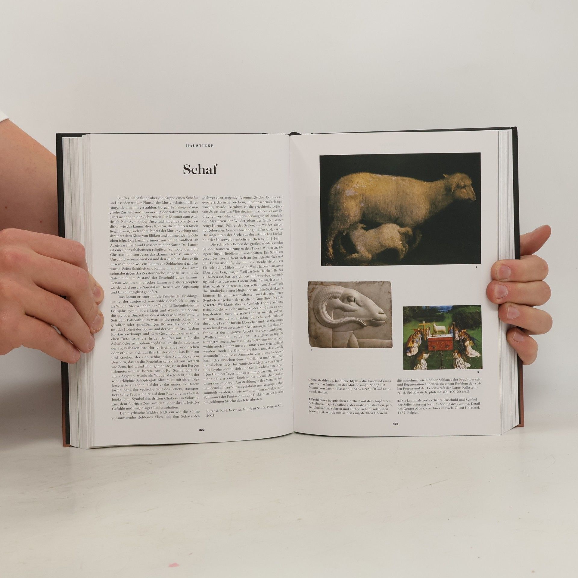 Ami Ronnberg Das Buch der Symbole