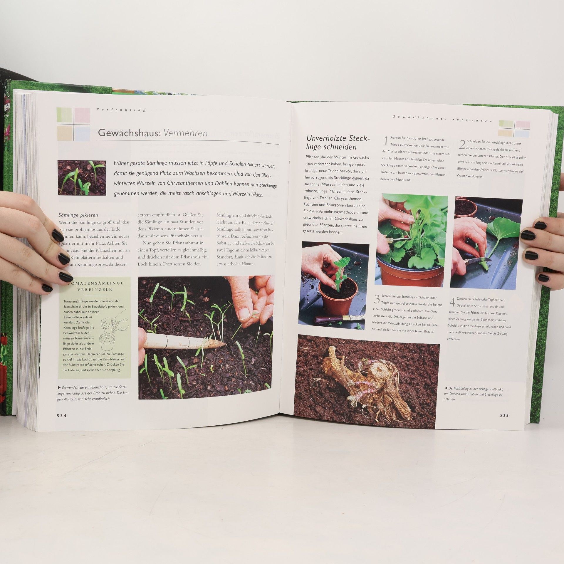 Autorenkollektiv Das Grosse Gartenbuch